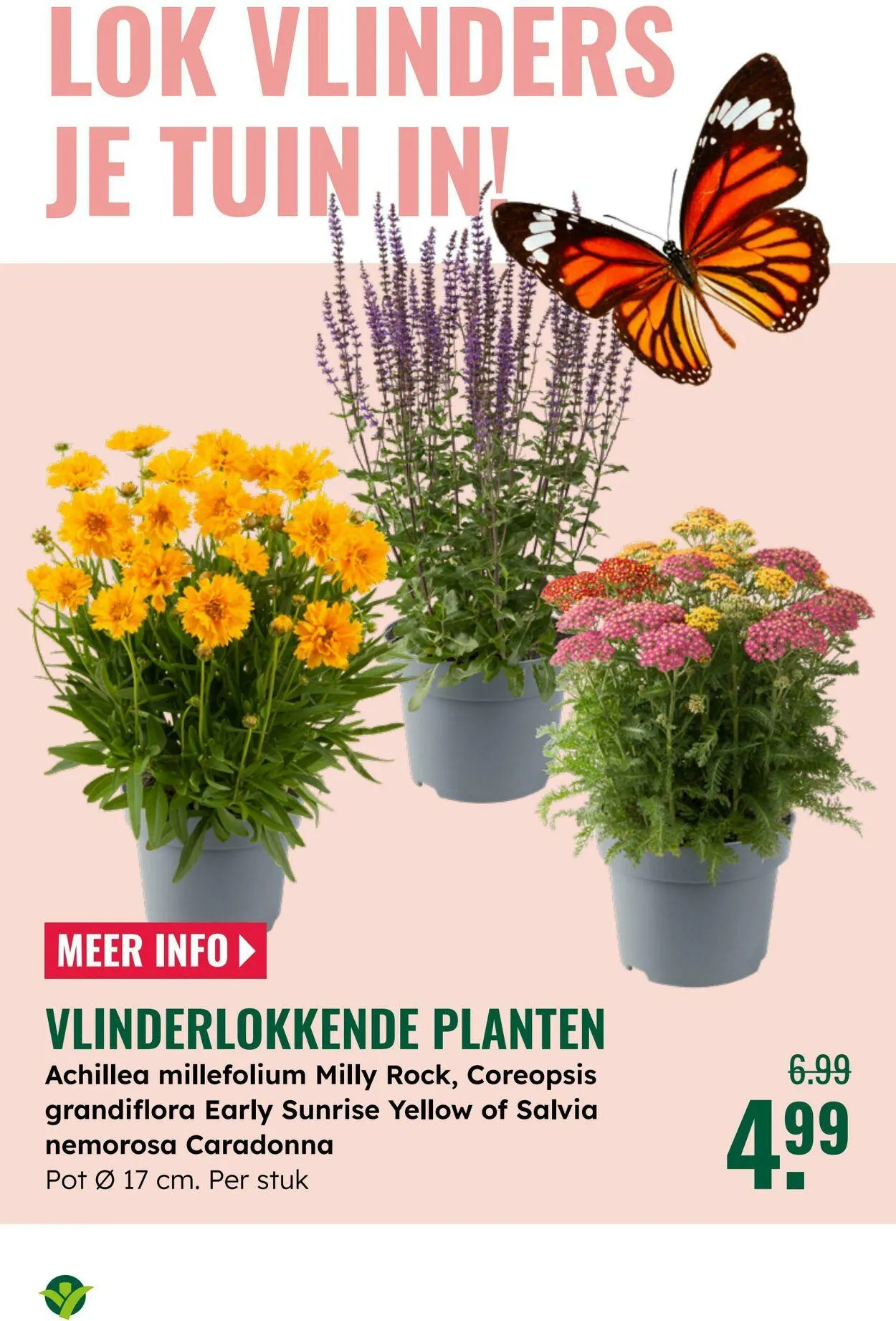 GroenRijk Actuele folder van 16 september tot 30 september 2025 - Folder pagina 7