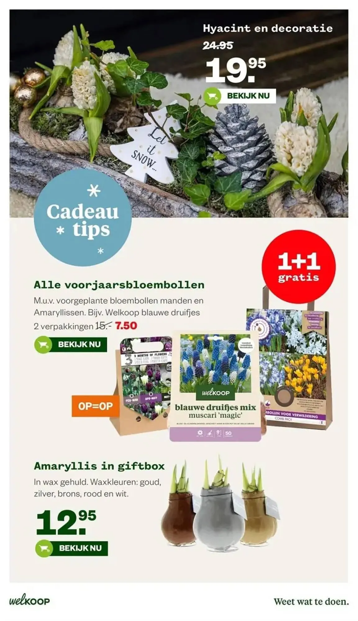 Welkoop folder van 27 november tot 10 december 2023 - Folder pagina 13