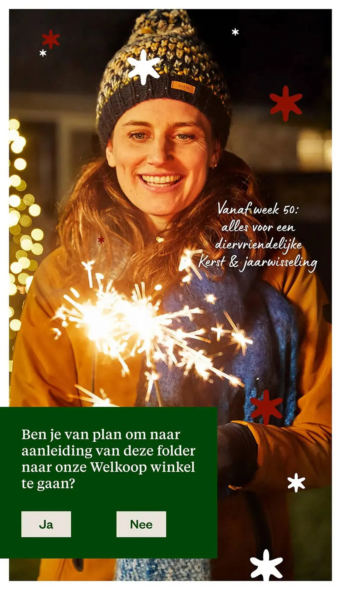 Welkoop folder van 24 november tot 7 december 2025 - Folder pagina 34