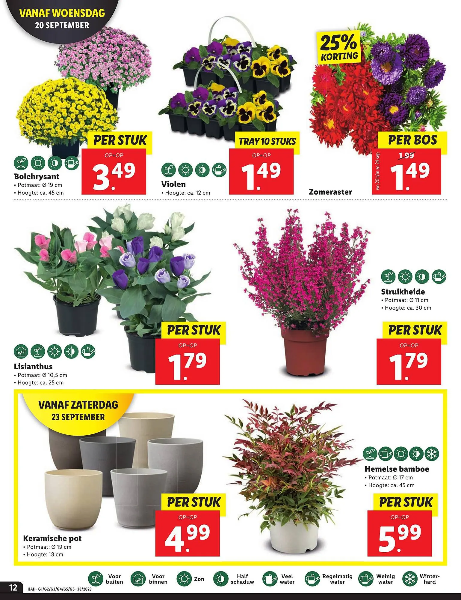 Lidl folder van 18 september tot 24 september 2023 - Folder pagina 12