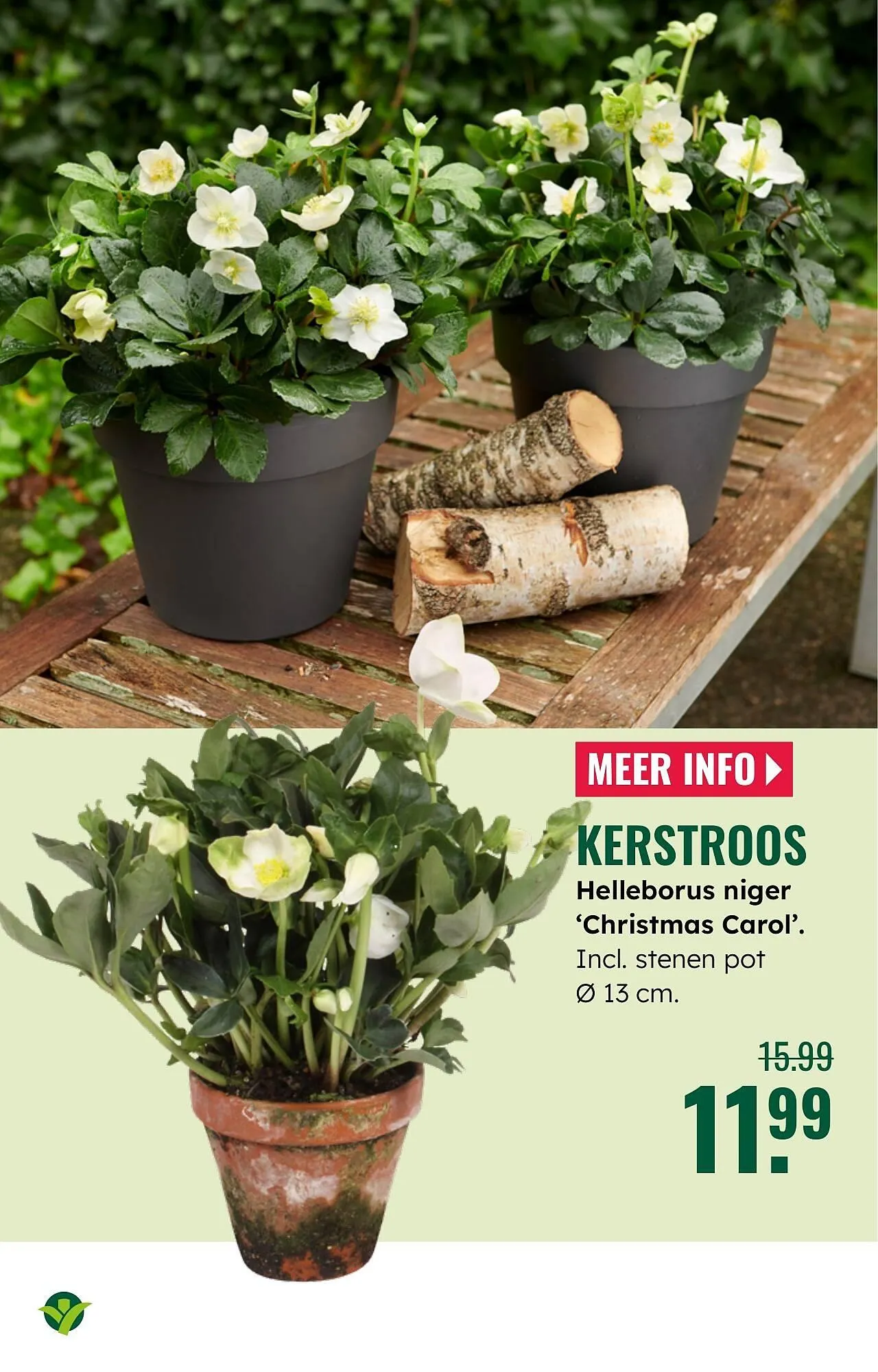 GroenRijk folder van 5 november tot 11 november 2025 - Folder pagina 6