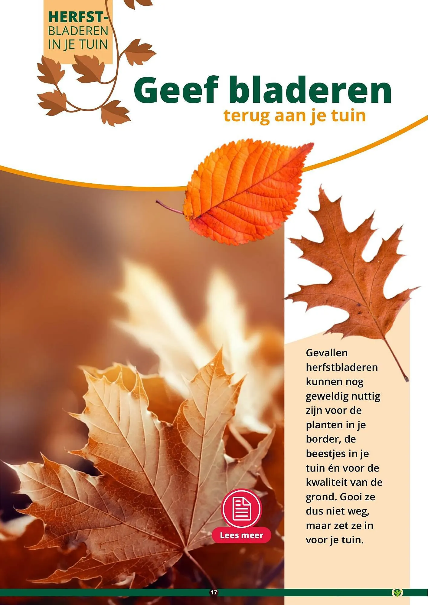 GroenRijk folder van 17 september tot 31 december 2023 - Folder pagina 17
