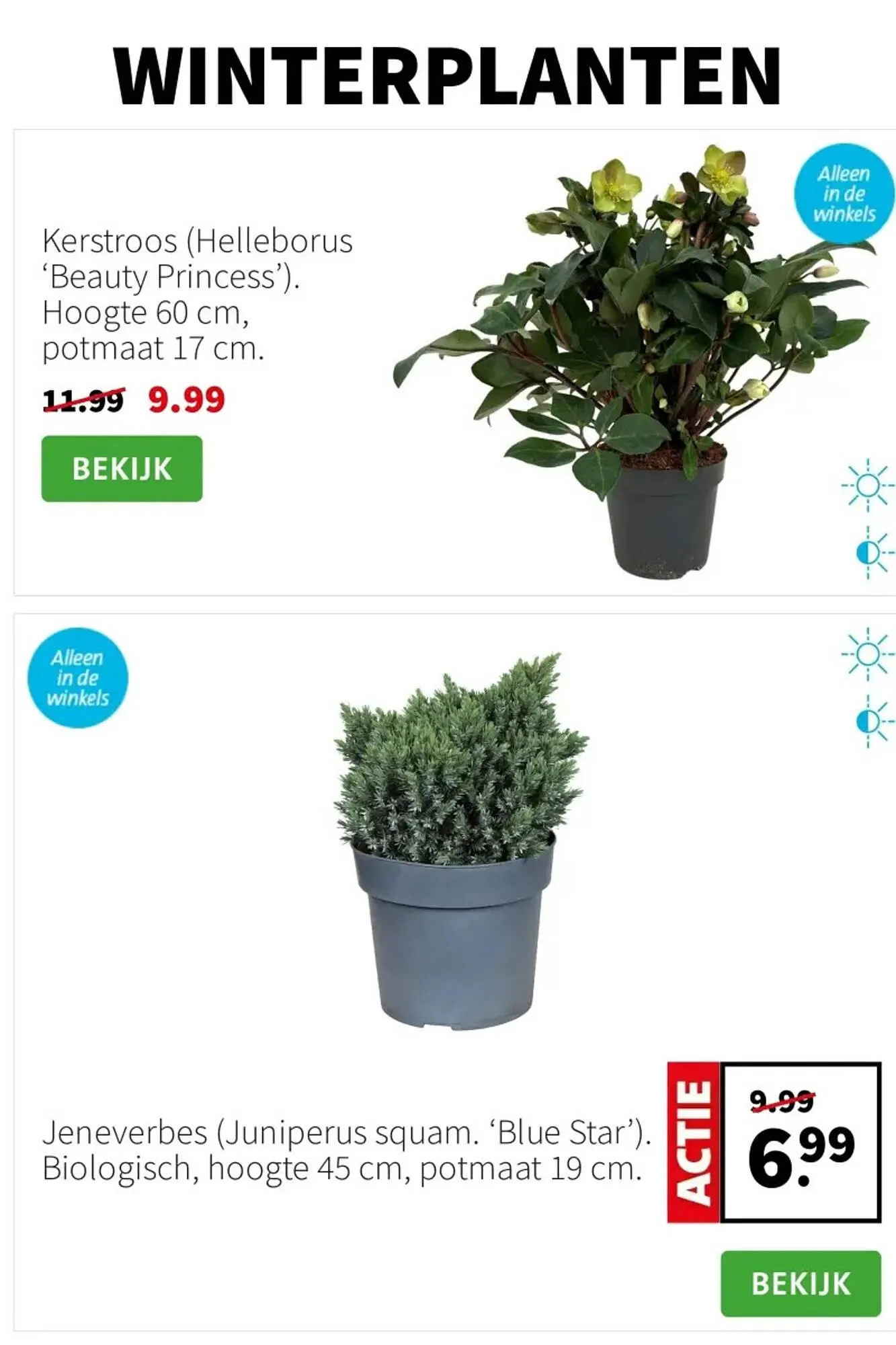 Intratuin folder van 3 november tot 9 november 2025 - Folder pagina 2