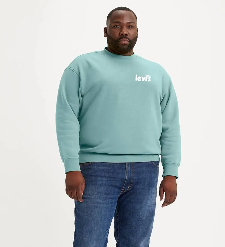 Relaxed Graphic Crewneck Sweatshirt (big & Tall)