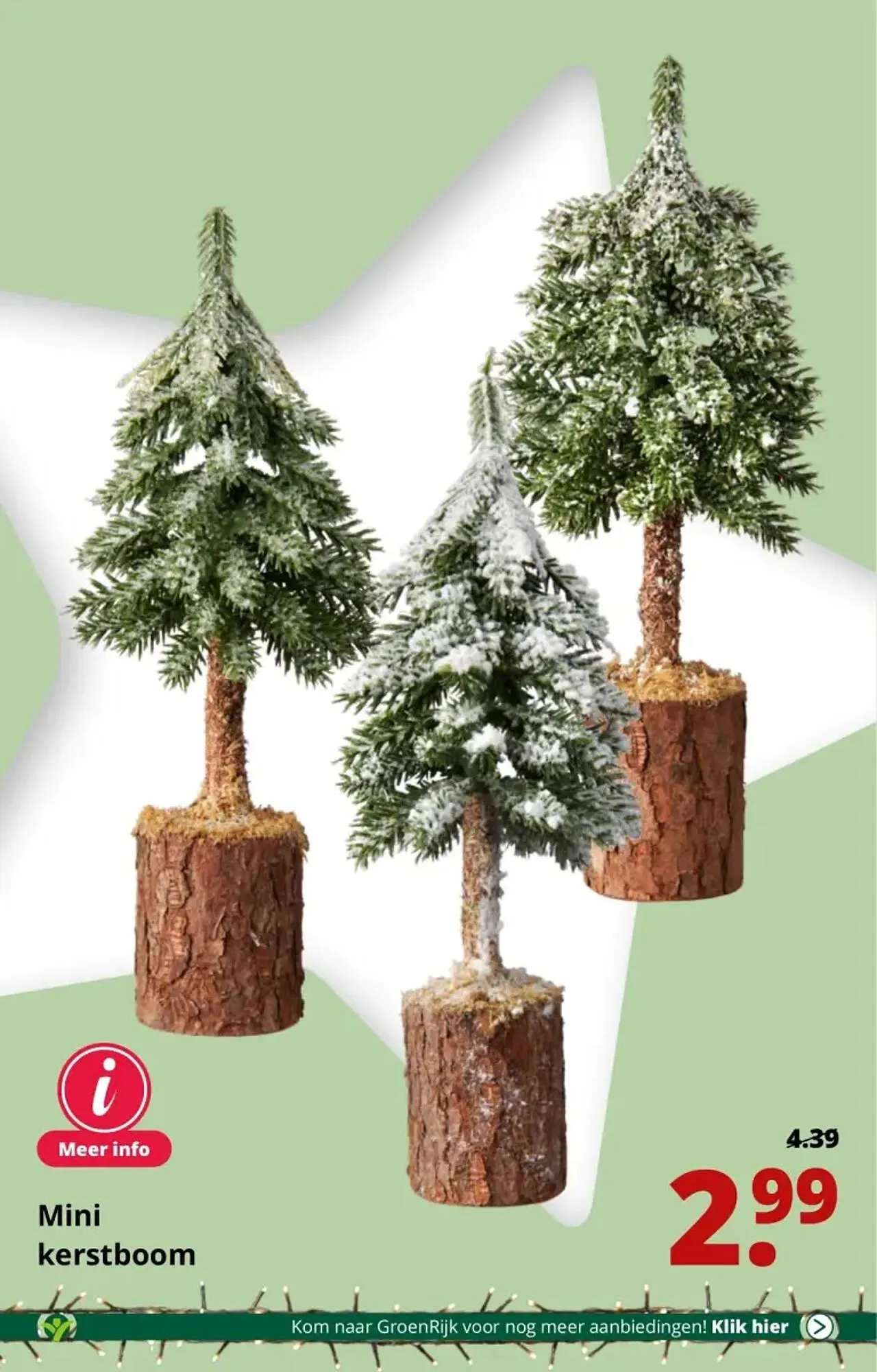 GroenRijk folder van 29 november tot 5 december 2023 - Folder pagina 18
