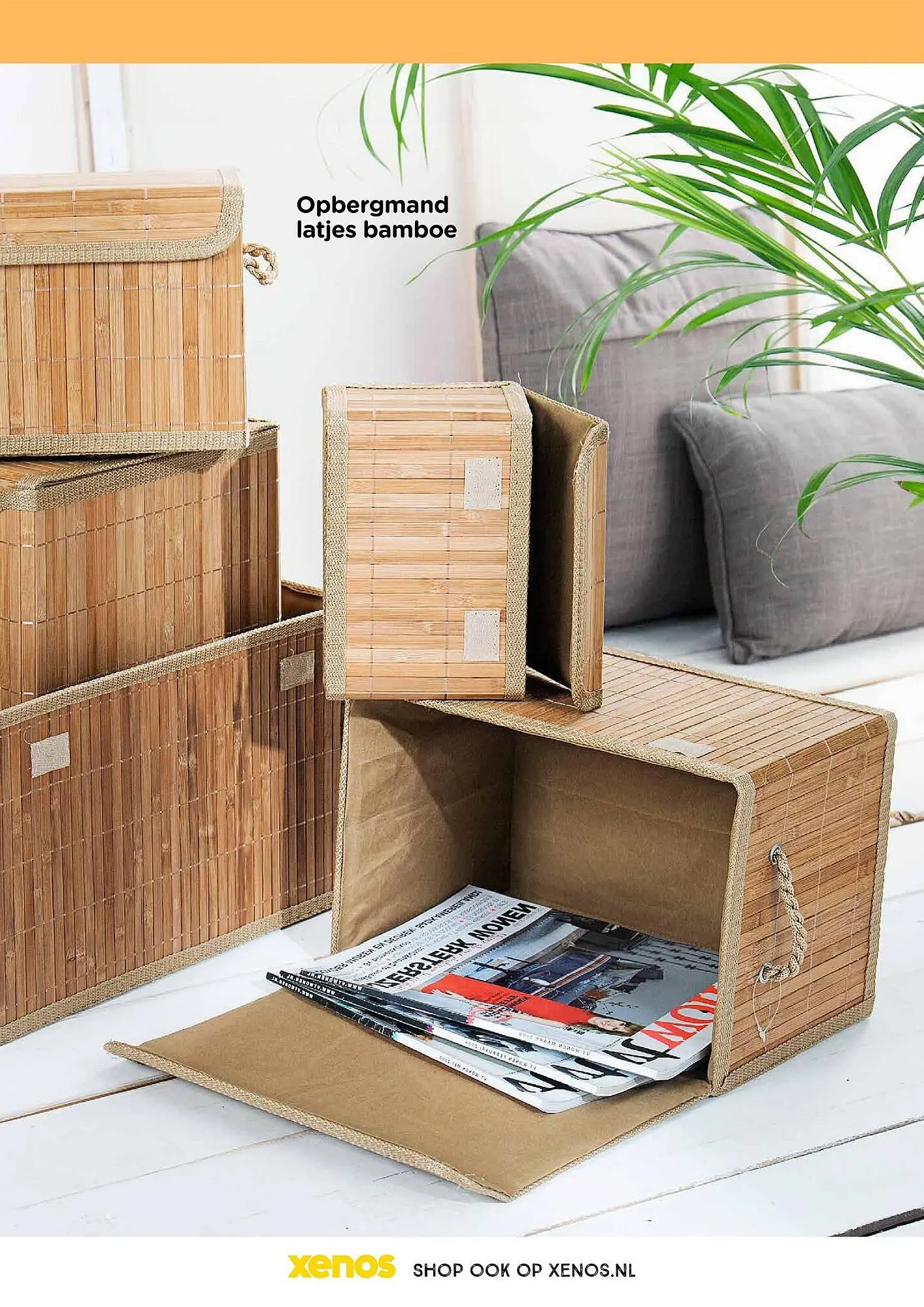 Xenos folder van 1 januari tot 15 februari 2025 - Folder pagina 12