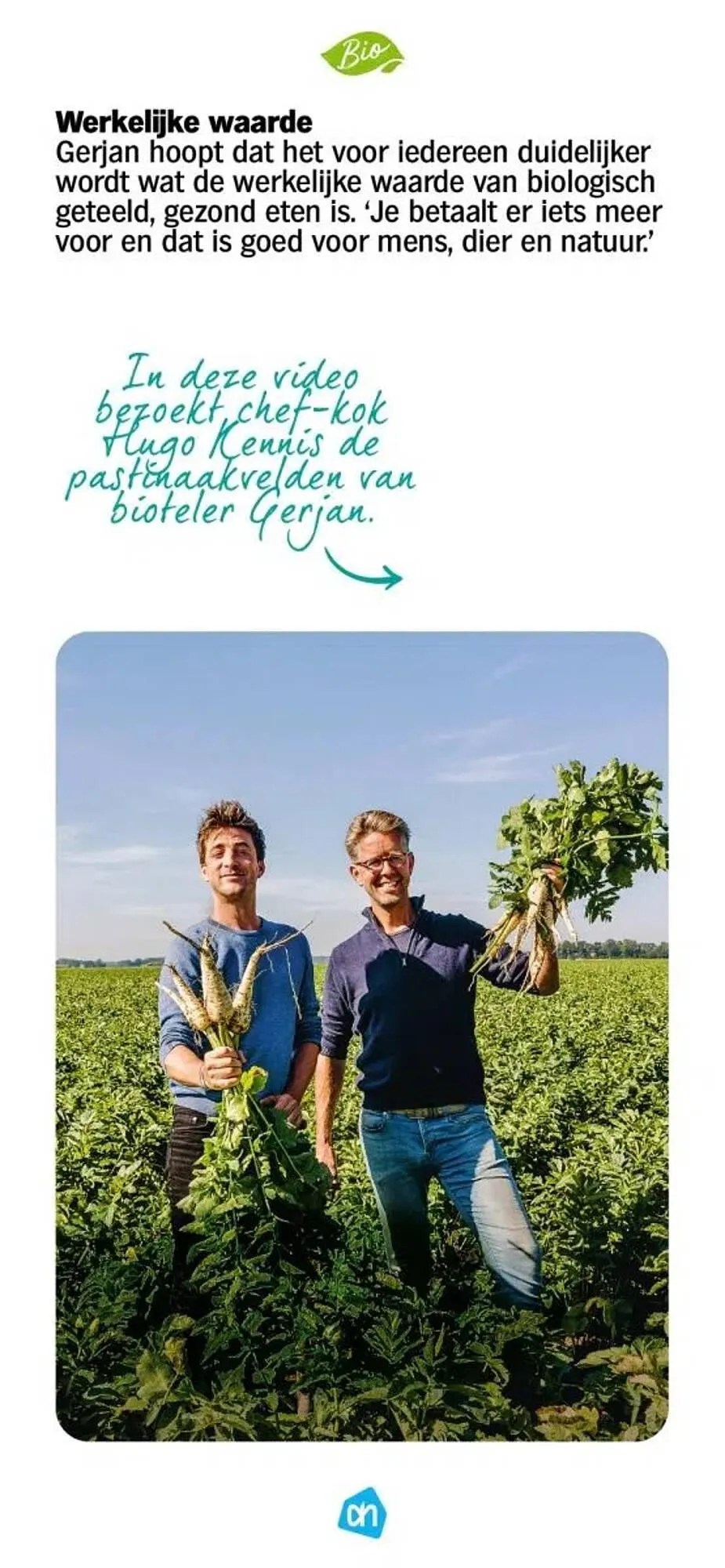 Albert Heijn folder van 8 november tot 7 september 2025 - Folder pagina 15