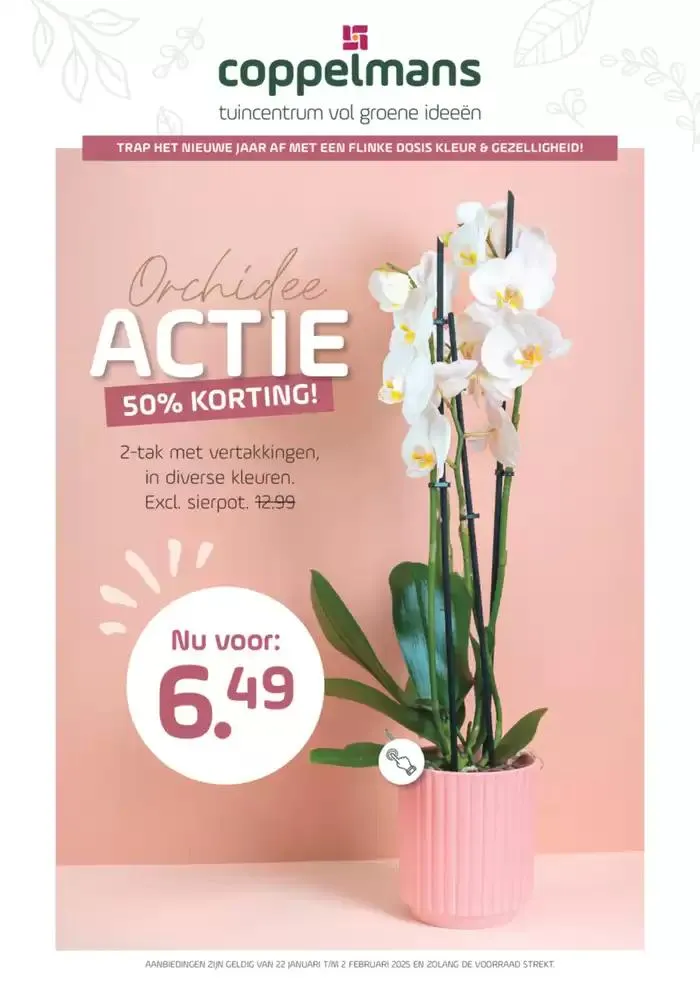 Folder Coppelmans - 1