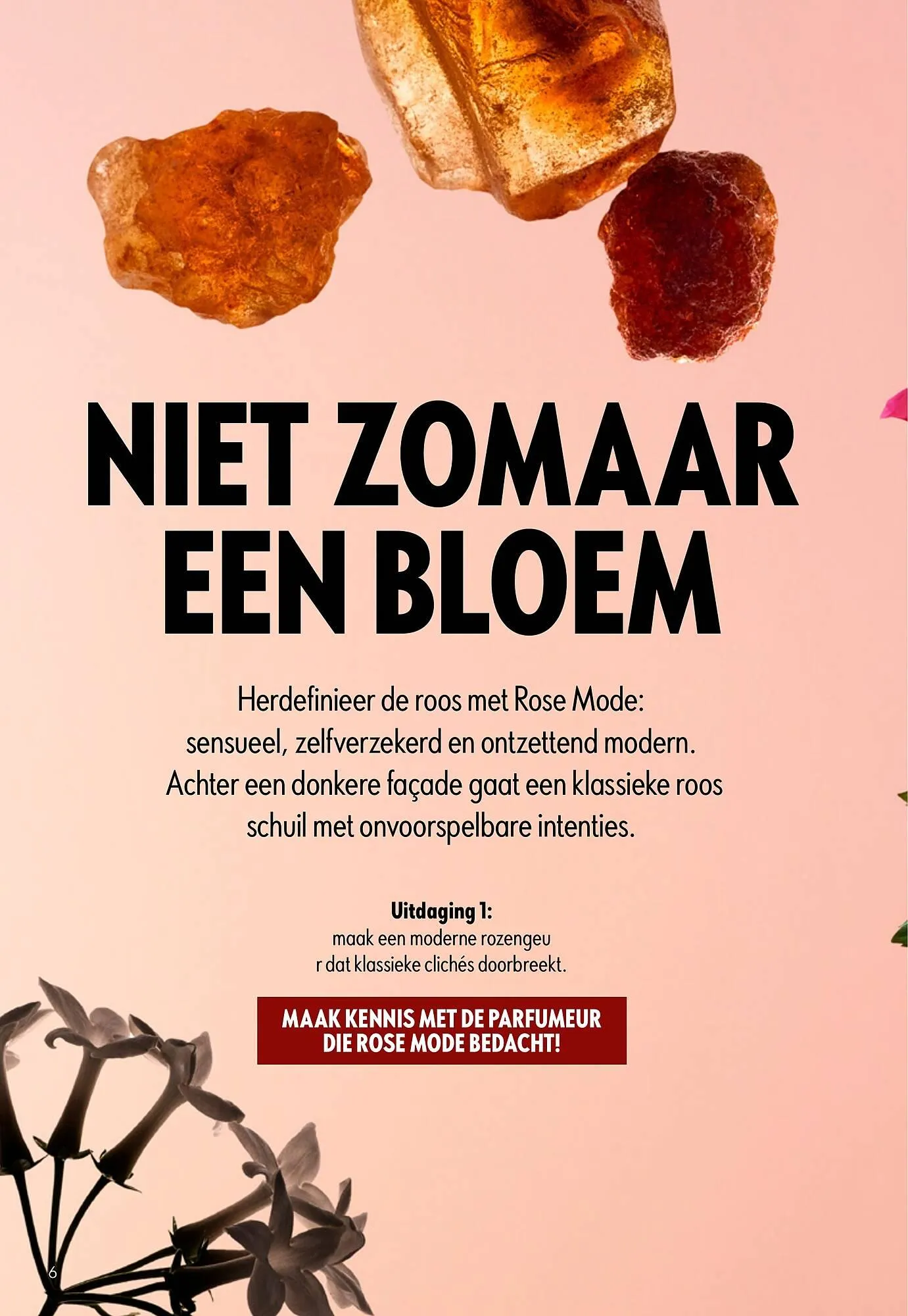Oriflame brochure van 22 april tot 12 mei 2026 - Folder pagina 6
