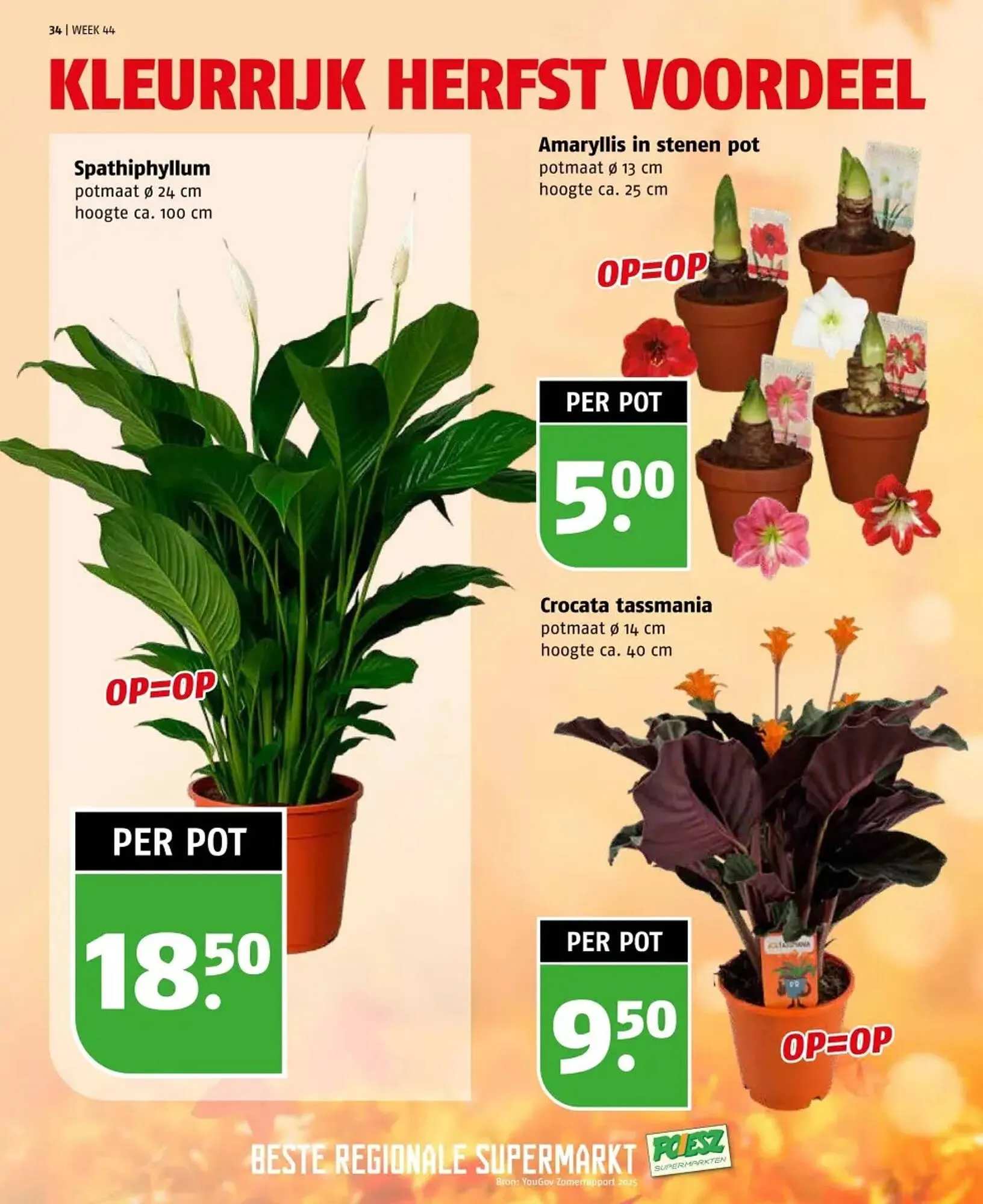 Poiesz folder van 26 oktober tot 1 november 2025 - Folder pagina 34