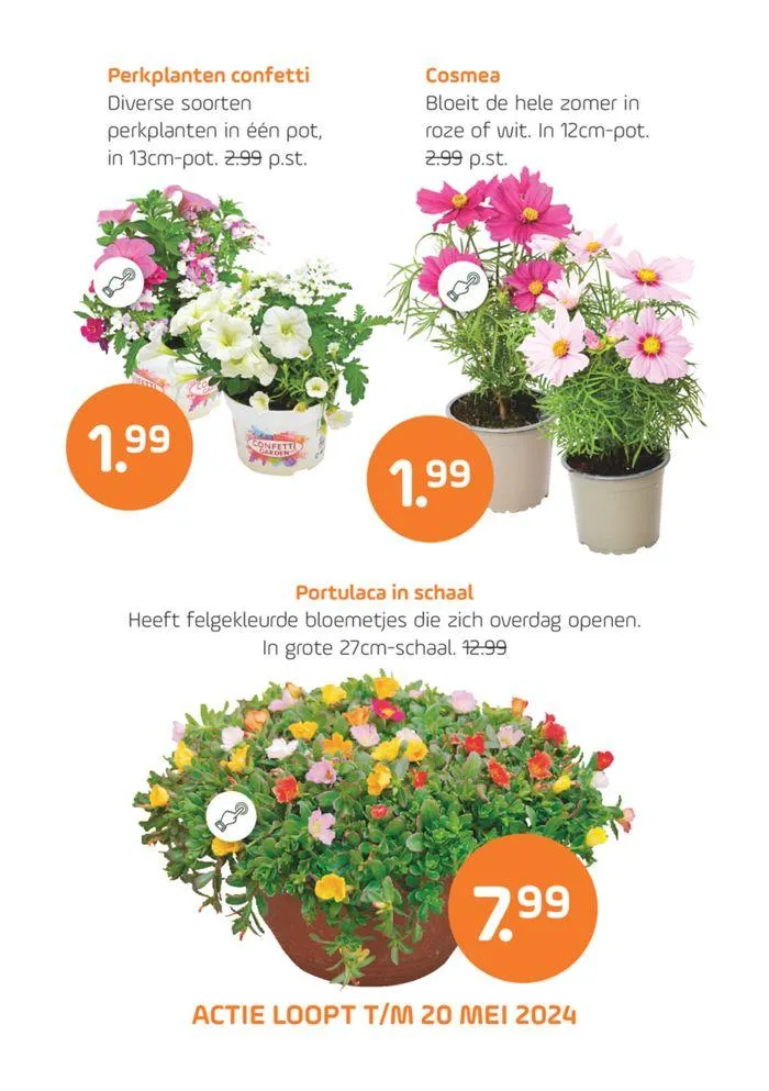 Buitenleven van 16 mei tot 30 mei 2024 - Folder pagina 9