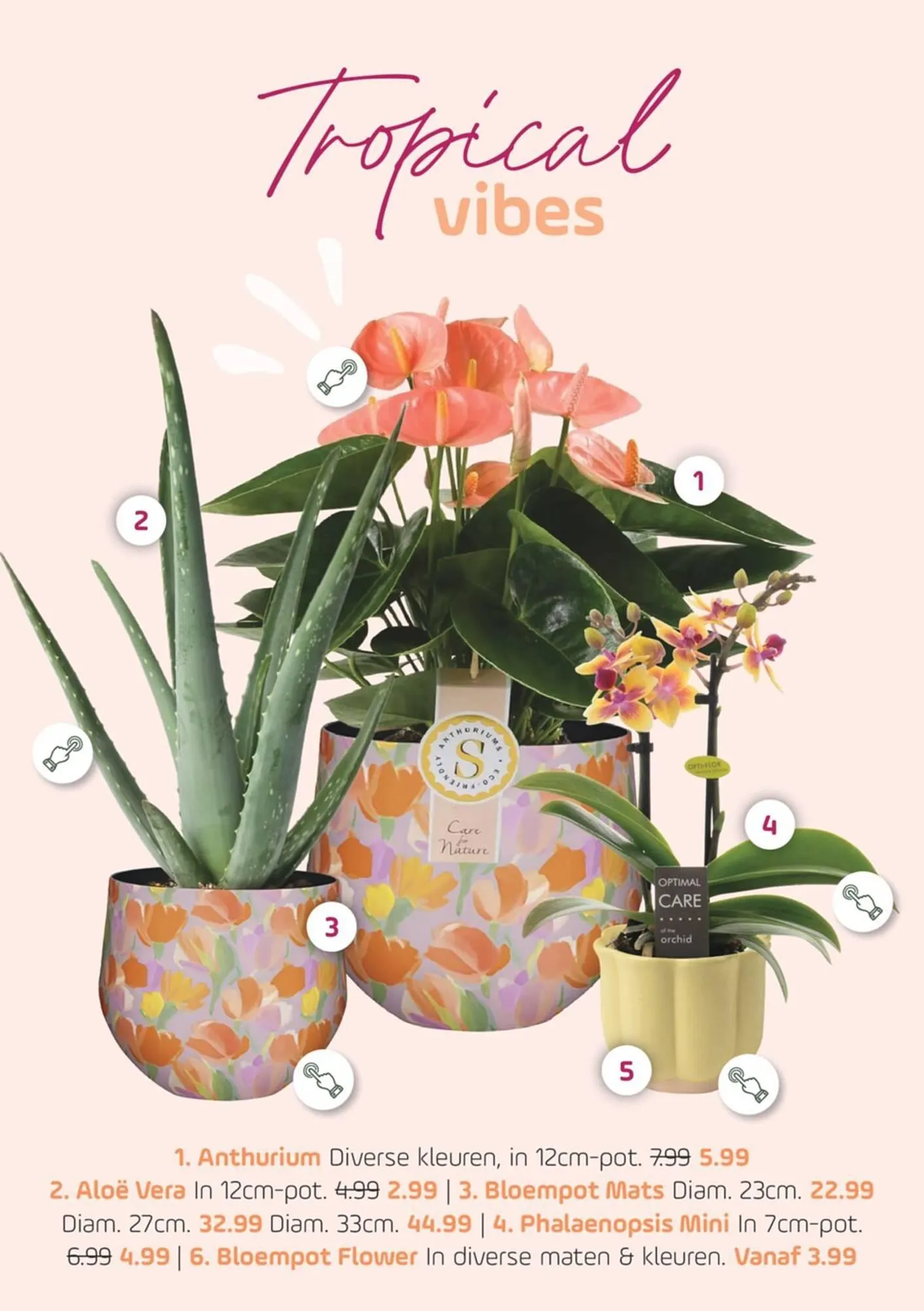 Coppelmans folder van 11 juni tot 22 juni 2025 - Folder pagina 6