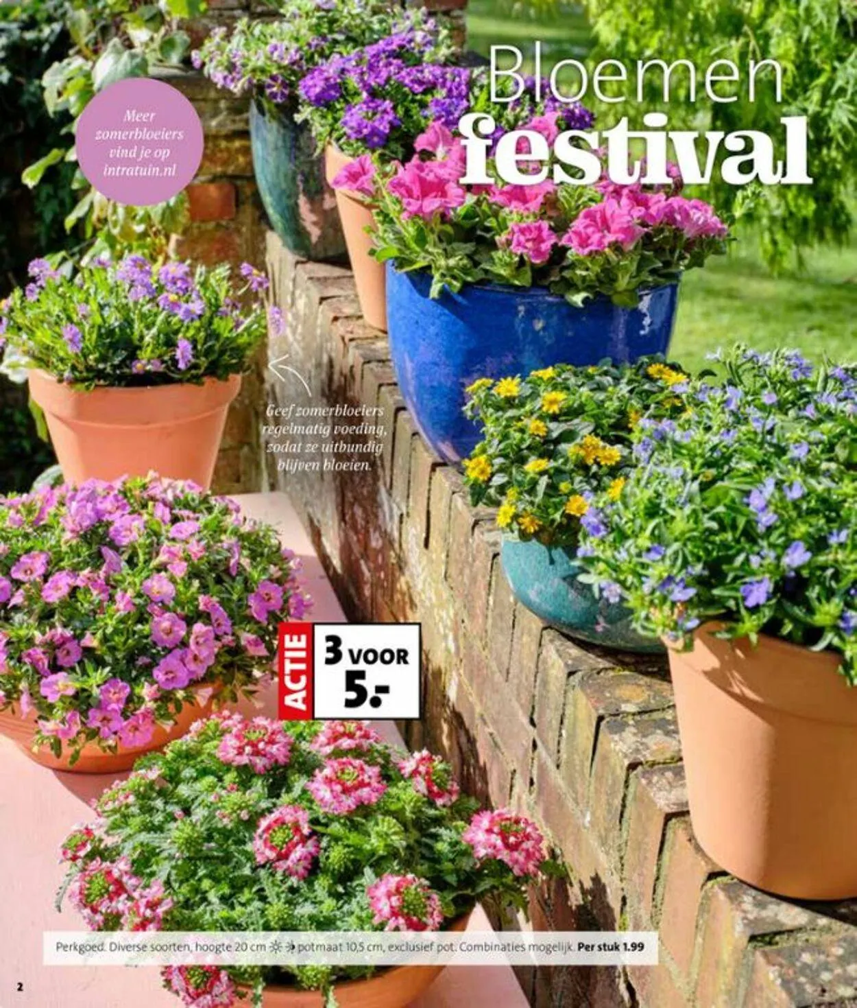 Intratuin Actuele folder van 3 augustus tot 17 augustus 2025 - Folder pagina 2