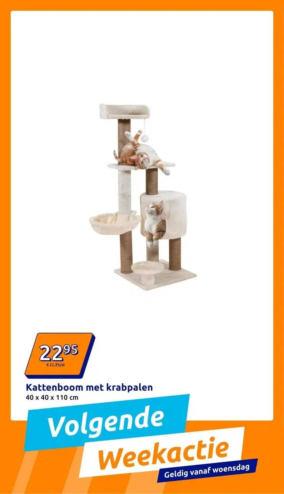 Action folder van 12 november tot 12 november 2025 - Folder pagina 7