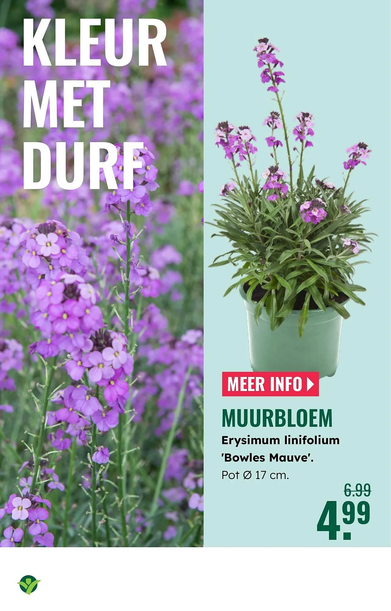 GroenRijk folder van 19 maart tot 25 maart 2026 - Folder pagina 6