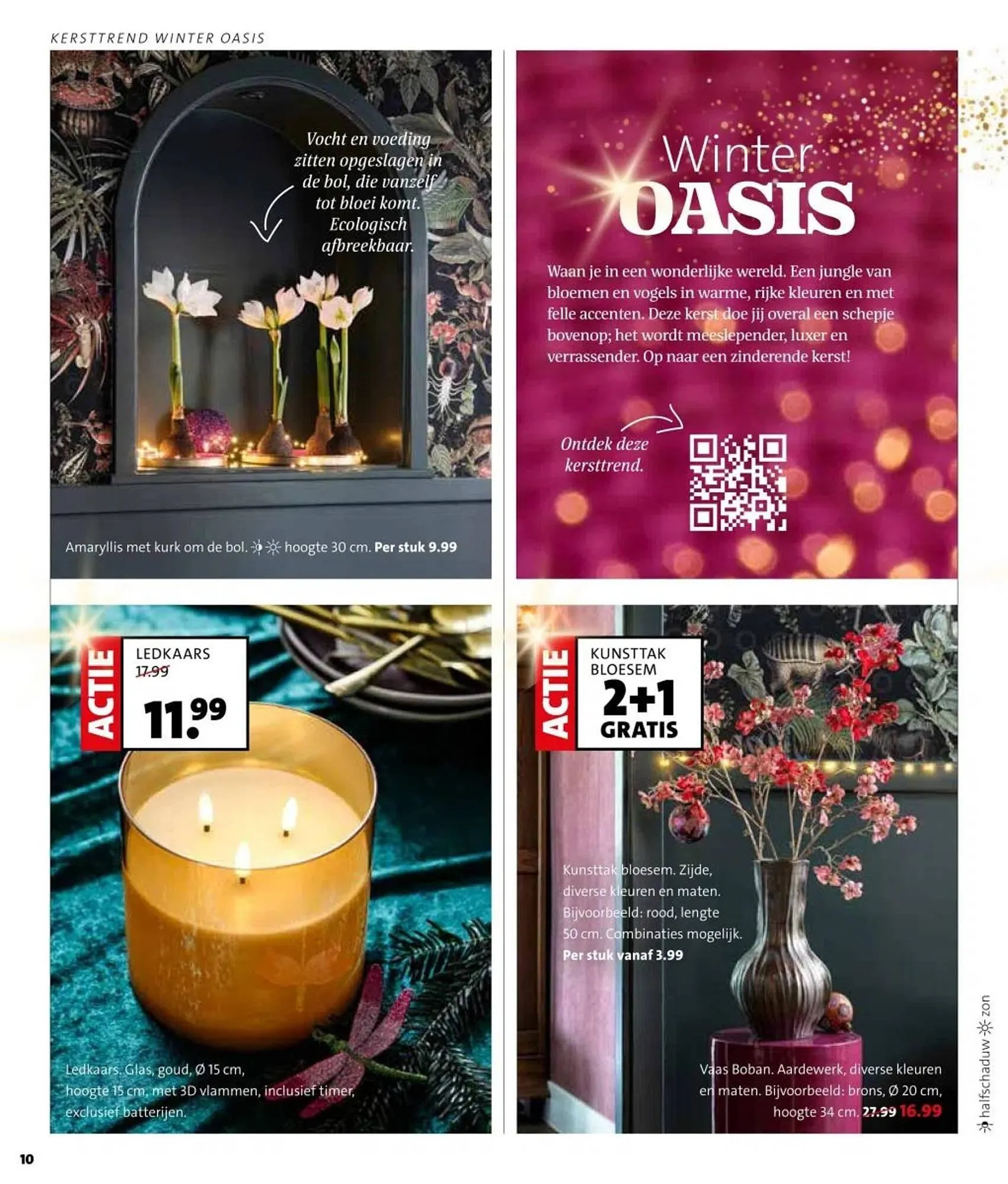 Intratuin folder van 27 oktober tot 2 november 2025 - Folder pagina 10