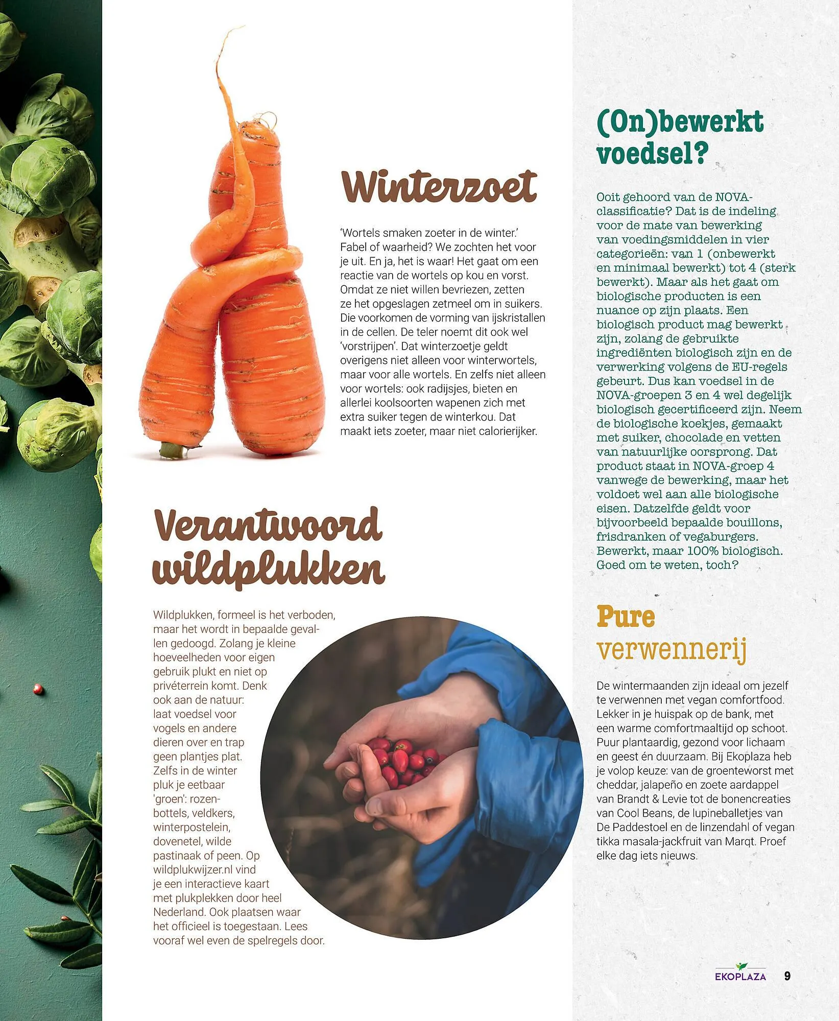 Ekoplaza magazine van 25 november tot 31 januari 2026 - Folder pagina 9