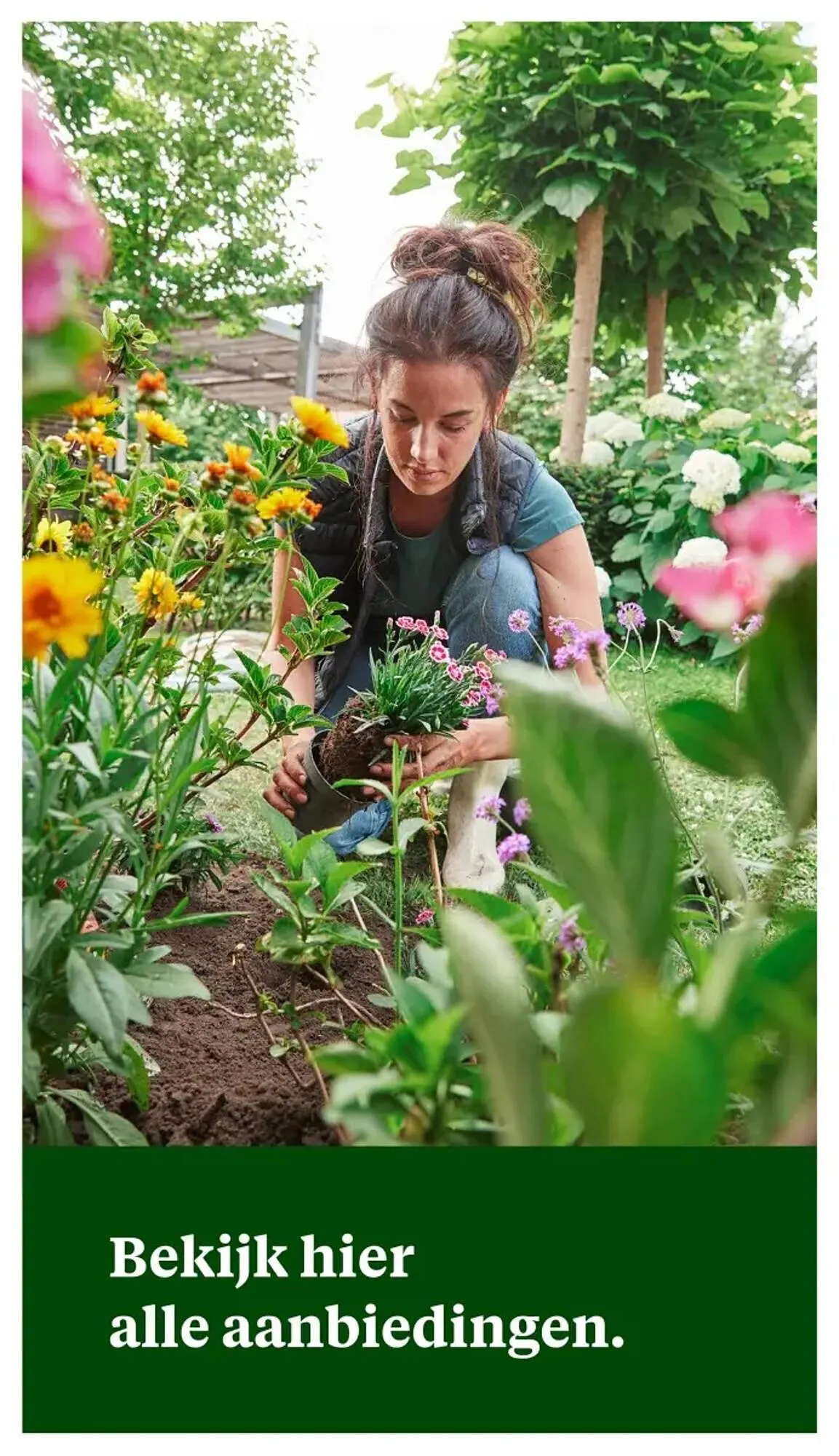 Welkoop folder van 28 april tot 11 mei 2025 - Folder pagina 27