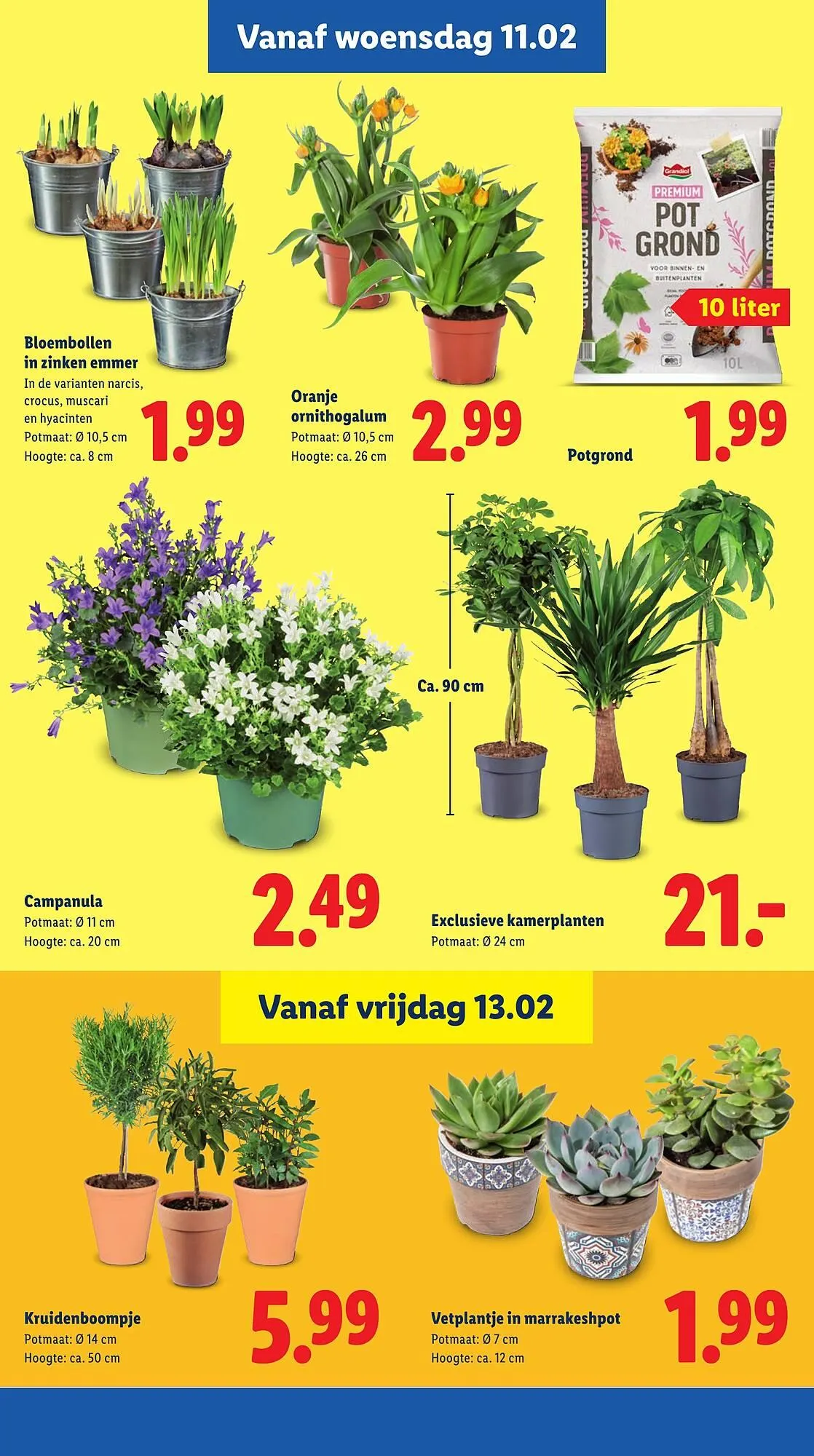 Lidl folder van 9 februari tot 14 februari 2026 - Folder pagina 15