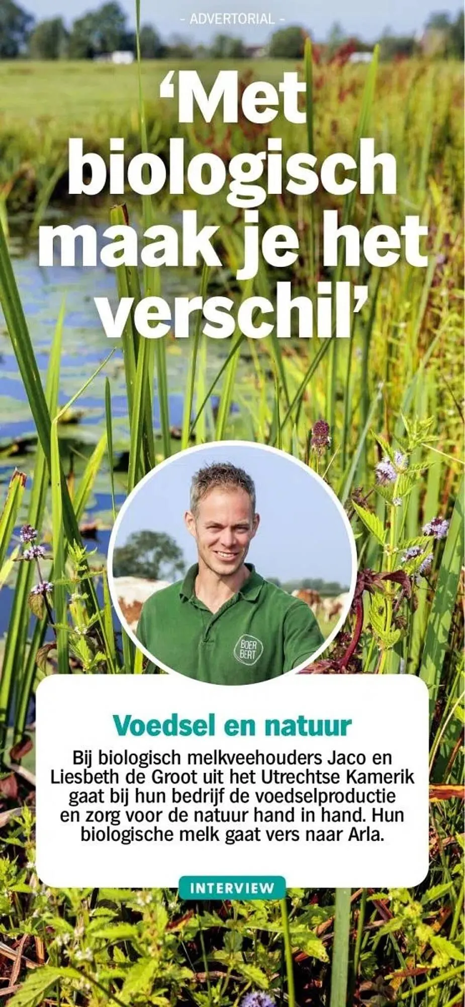 Albert Heijn folder van 8 november tot 7 september 2025 - Folder pagina 42