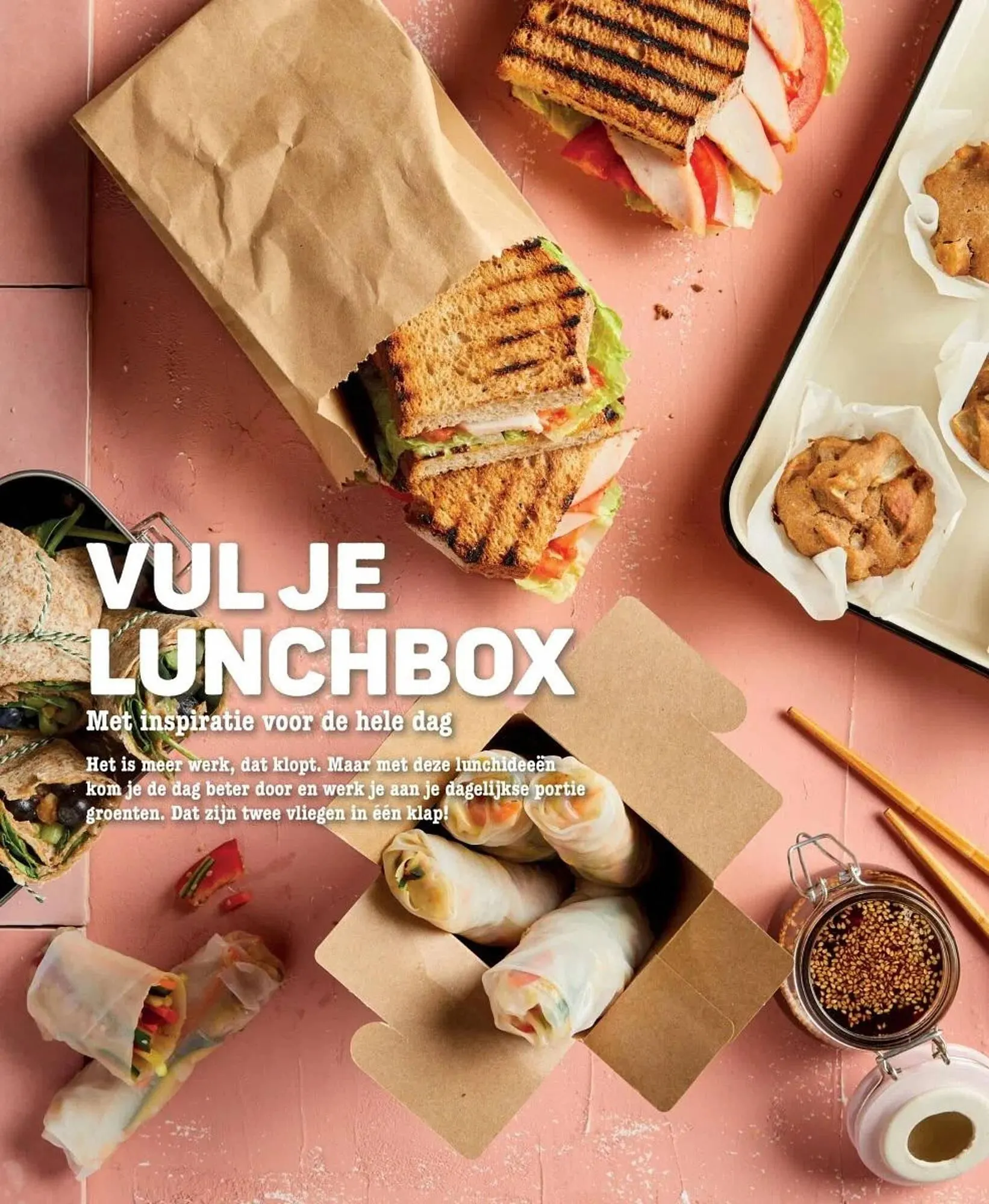 Ekoplaza folder van 19 maart tot 29 april 2025 - Folder pagina 13