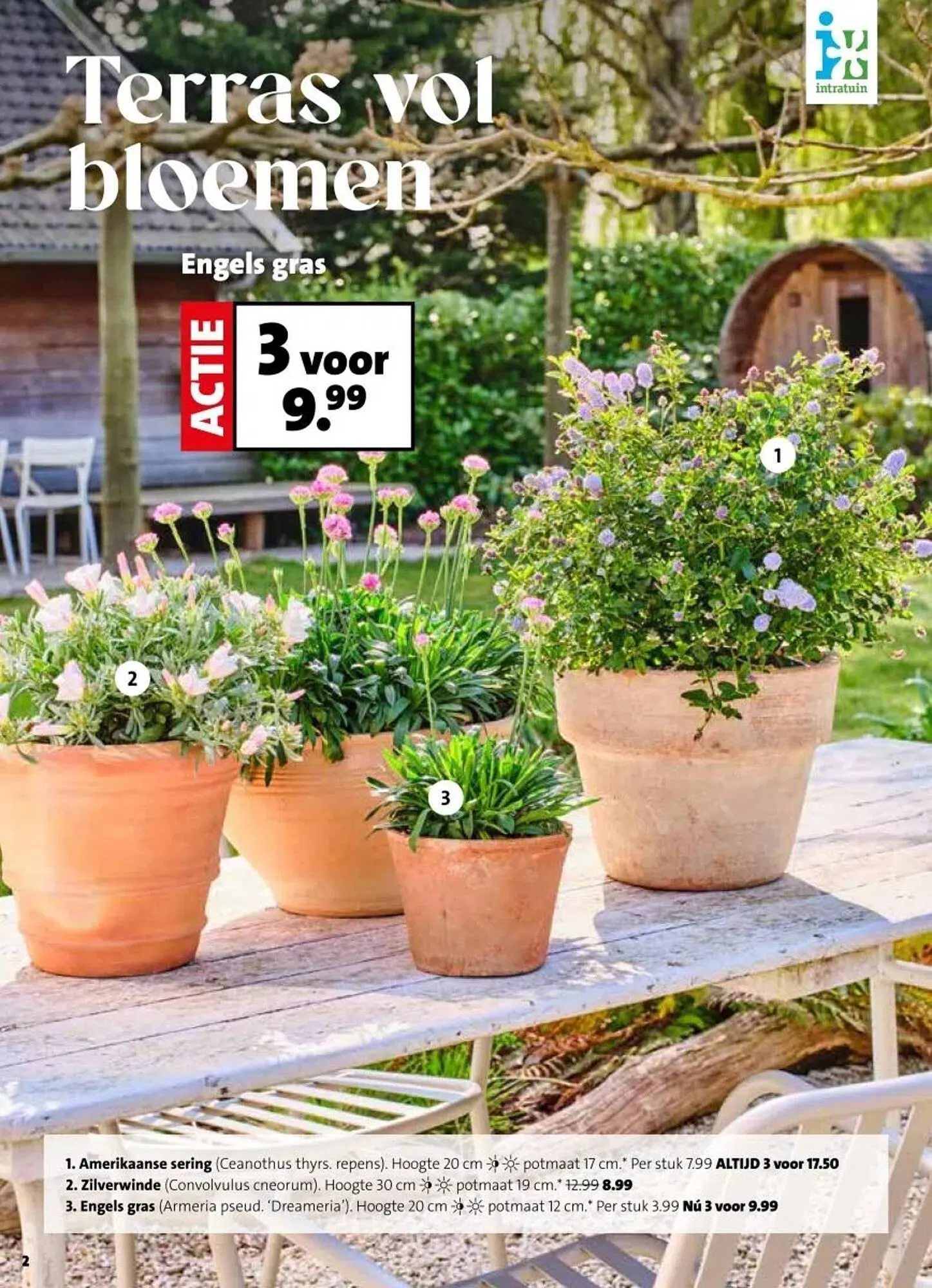 Intratuin folder van 2 maart tot 8 maart 2026 - Folder pagina 2