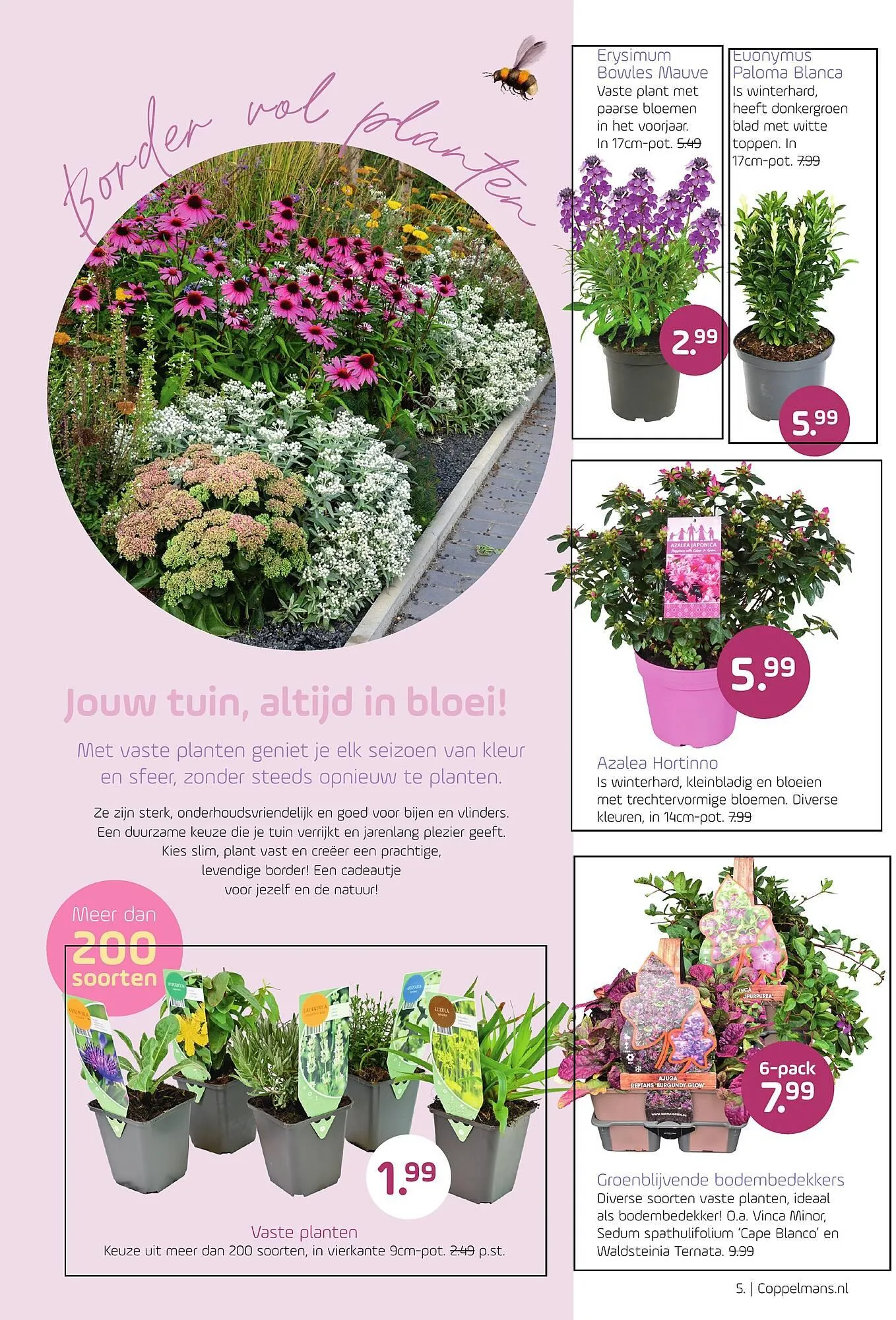 Coppelmans folder van 19 maart tot 30 maart 2025 - Folder pagina 5