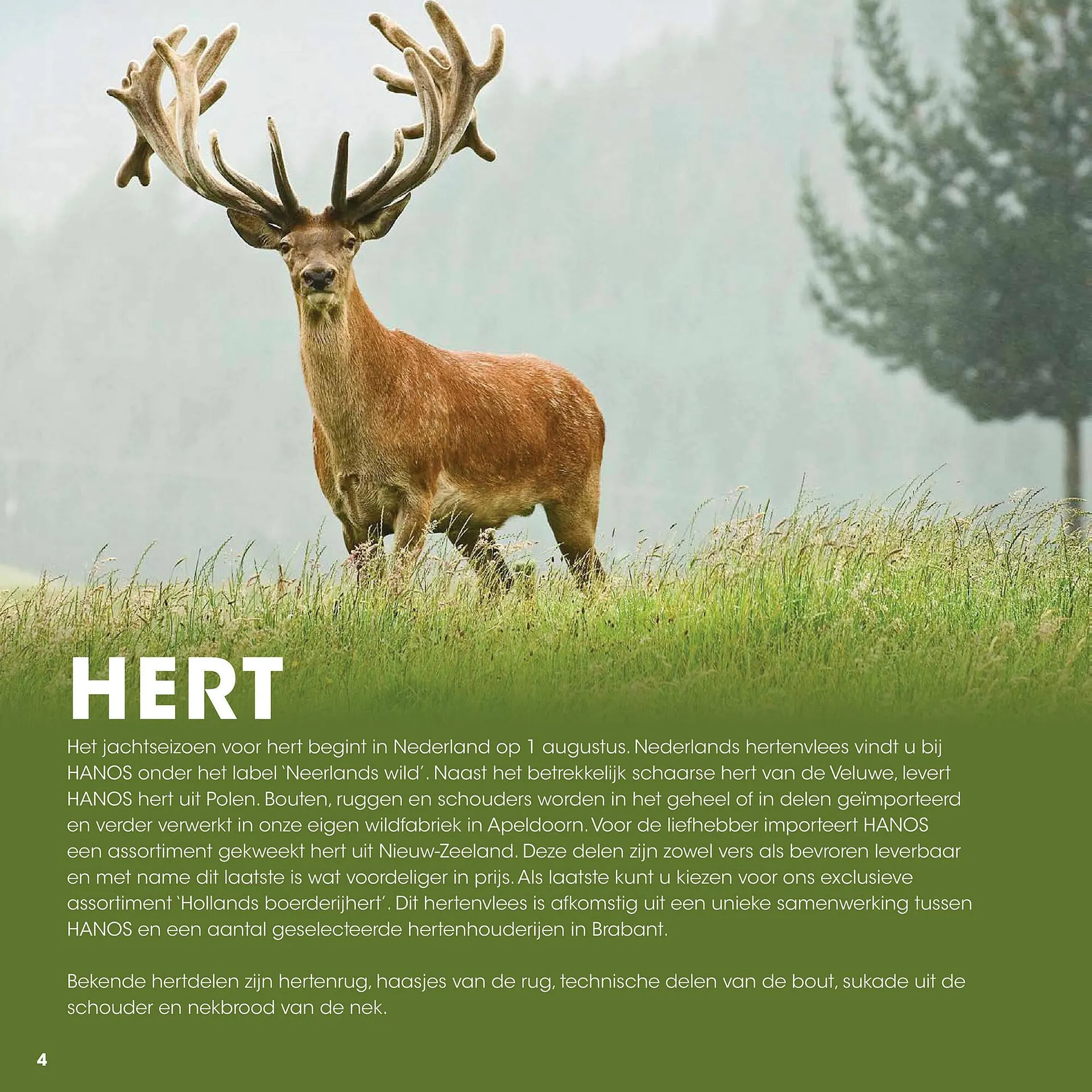 HANOS folder van 12 september tot 31 december 2025 - Folder pagina 4