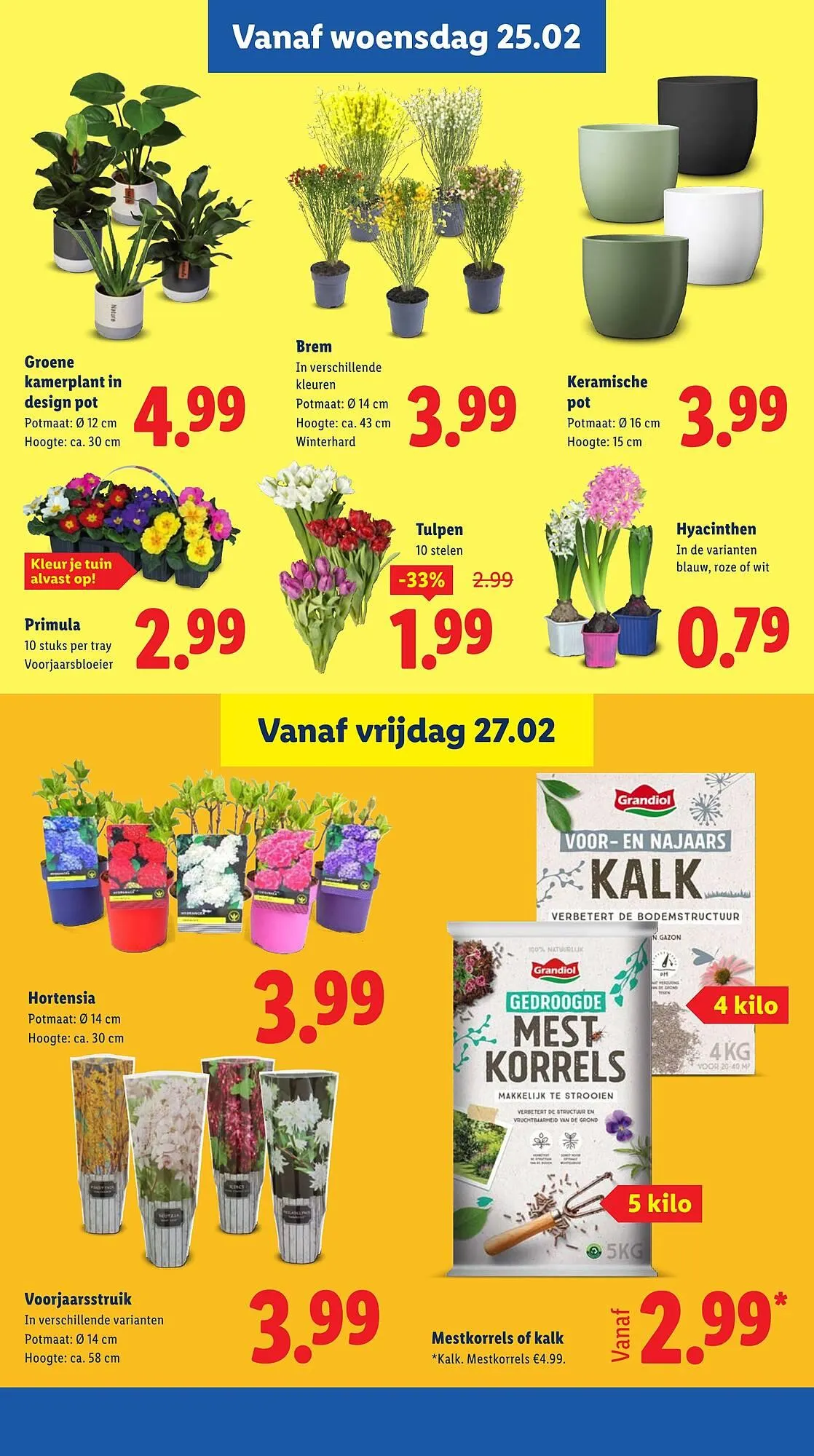 Lidl folder van 23 februari tot 1 maart 2026 - Folder pagina 17