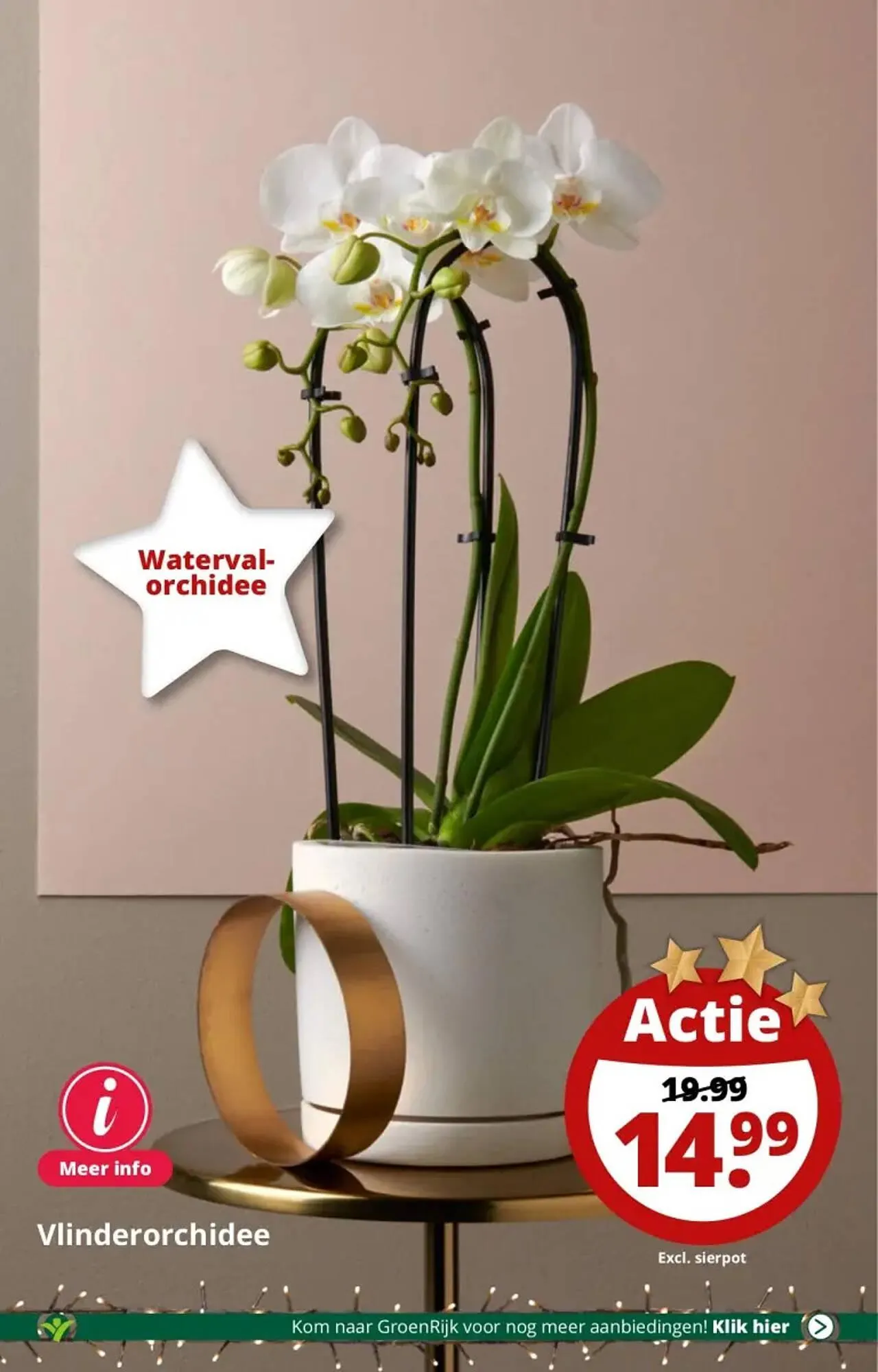 GroenRijk folder van 29 november tot 5 december 2023 - Folder pagina 26