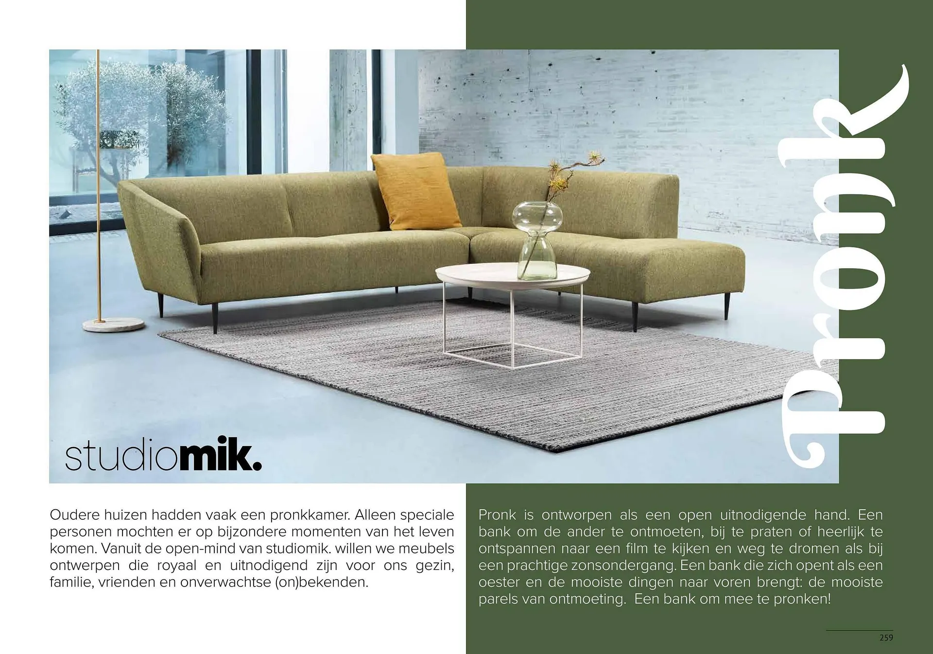 Donjon folder van 1 maart tot 29 februari 2024 - Folder pagina 261