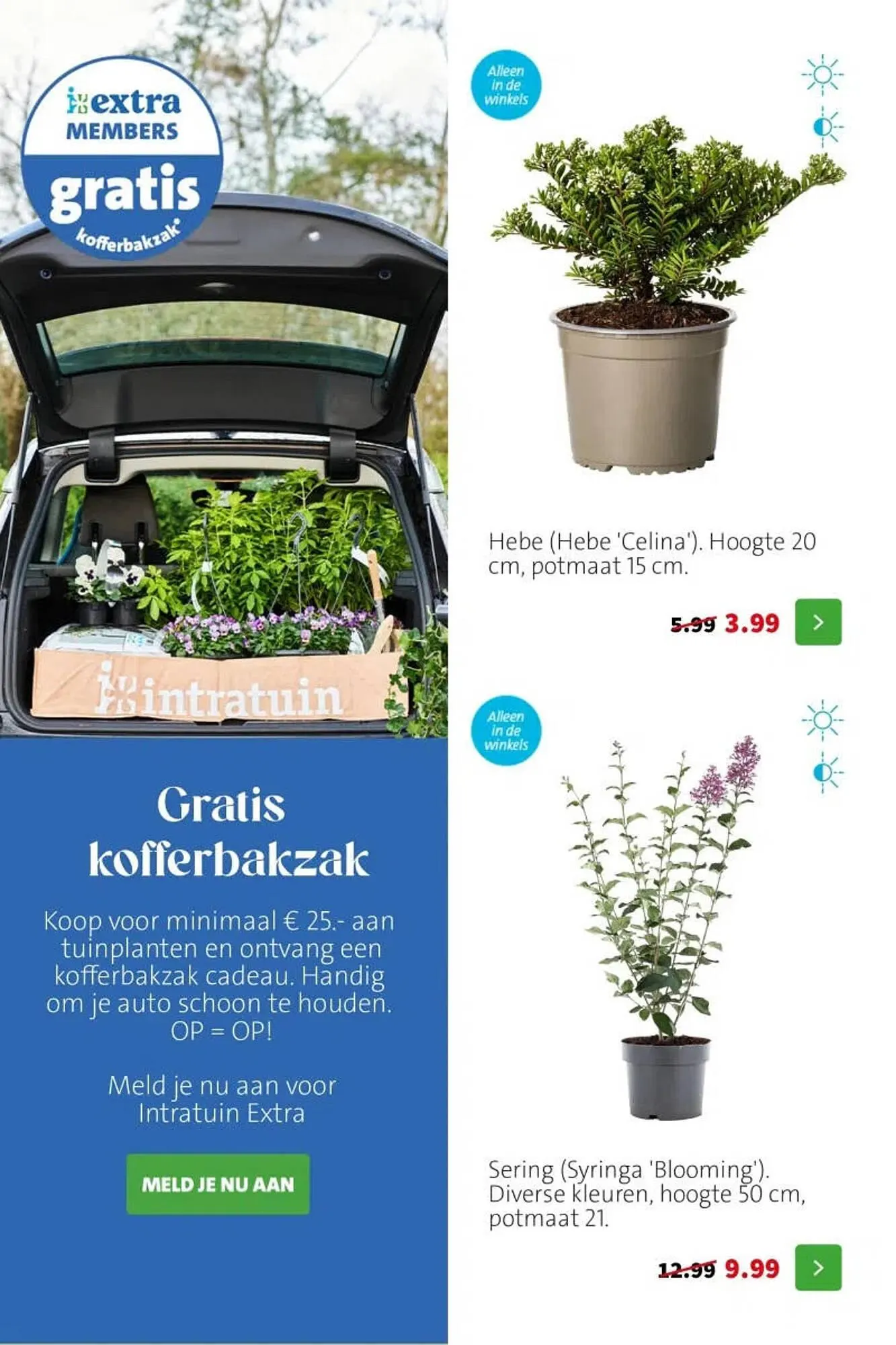 Intratuin folder van 20 april tot 26 april 2026 - Folder pagina 6