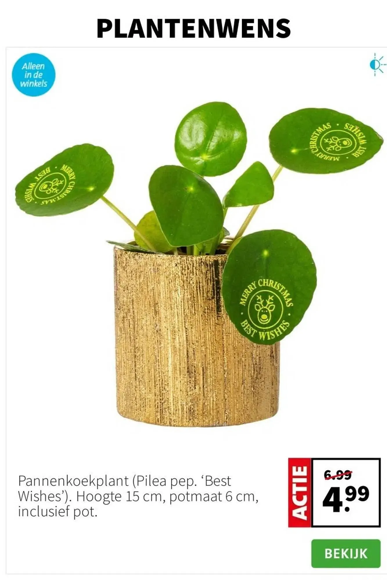 Intratuin folder van 15 december tot 21 december 2025 - Folder pagina 4