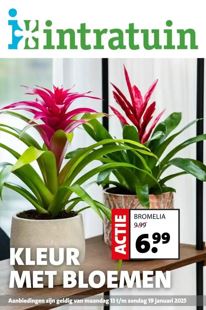 Intratuin folder - 1