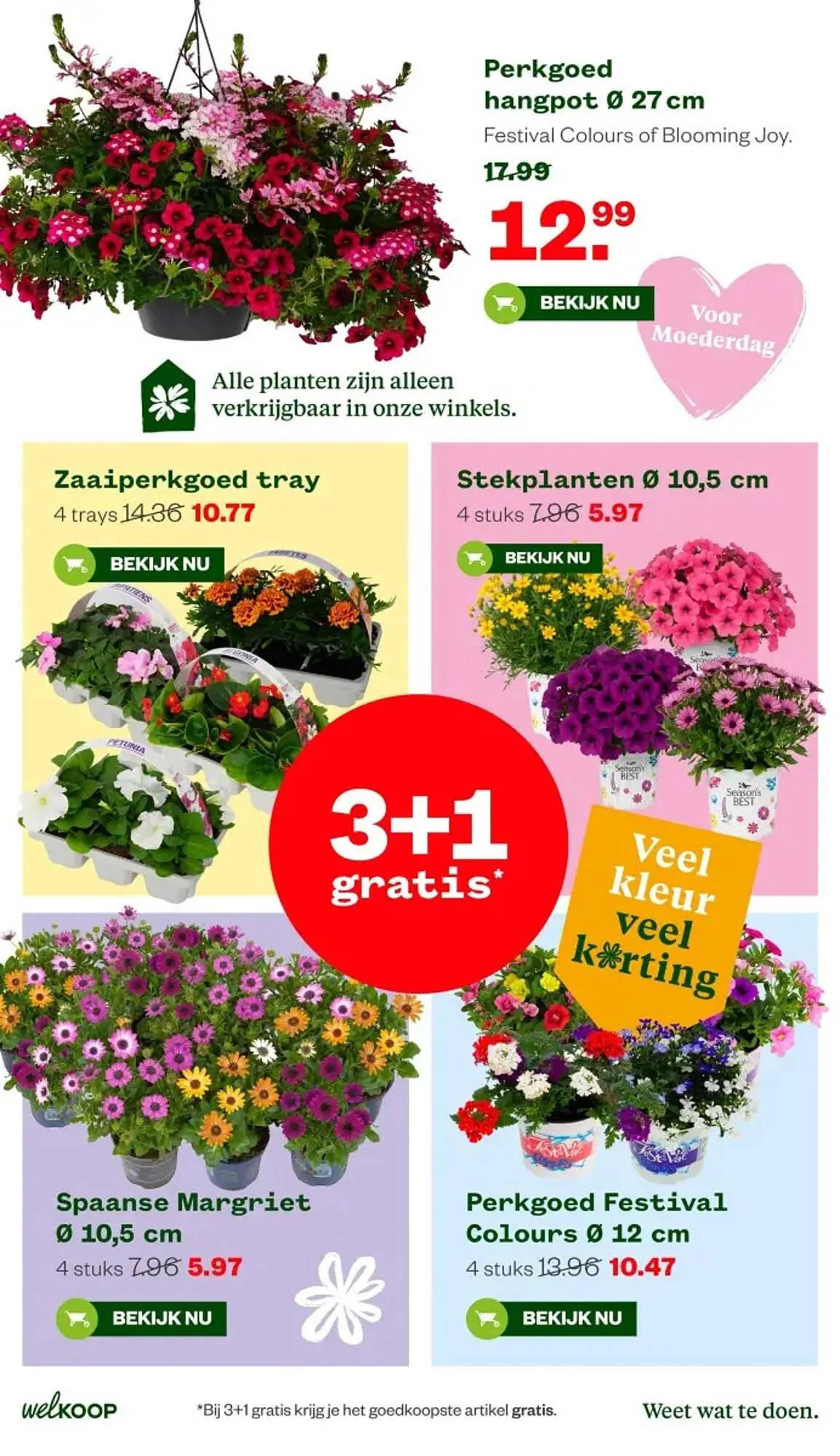 Welkoop folder van 27 april tot 3 mei 2026 - Folder pagina 2