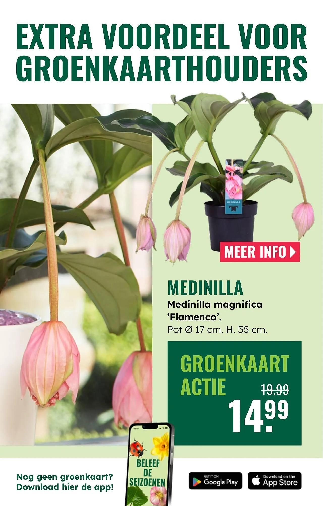GroenRijk folder van 7 mei tot 13 mei 2026 - Folder pagina 6