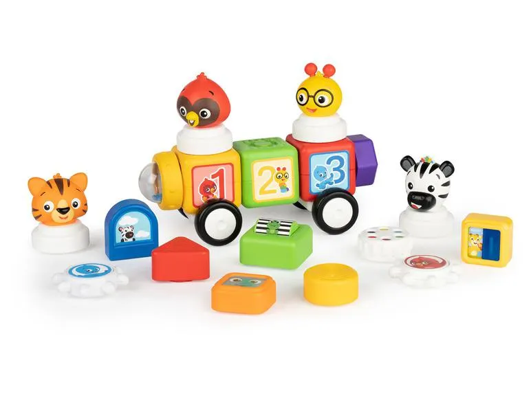 Baby Einstein Magnetischen activiteitenblokken