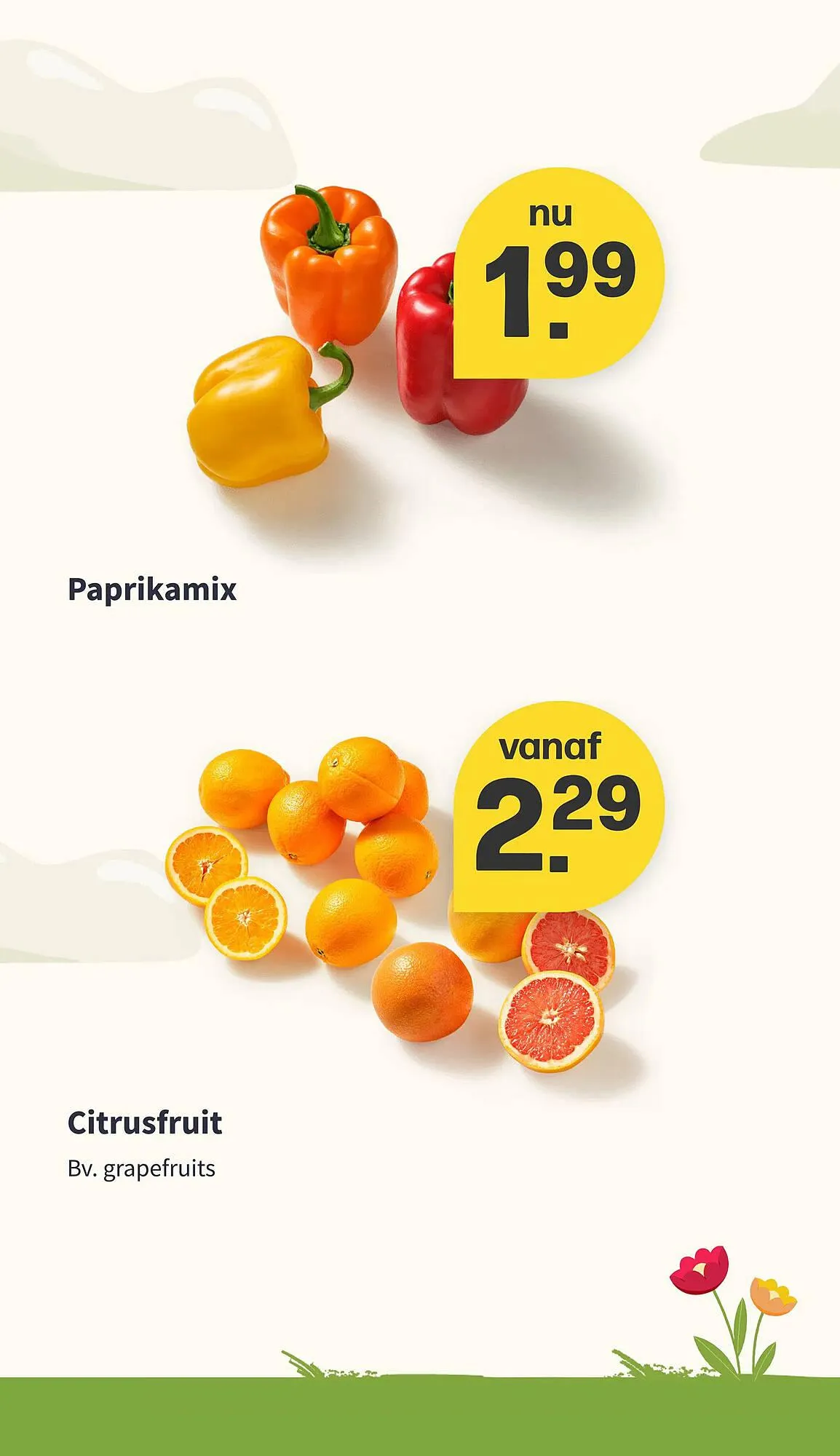 Picnic folder van 25 december tot 31 december 2023 - Folder pagina 13