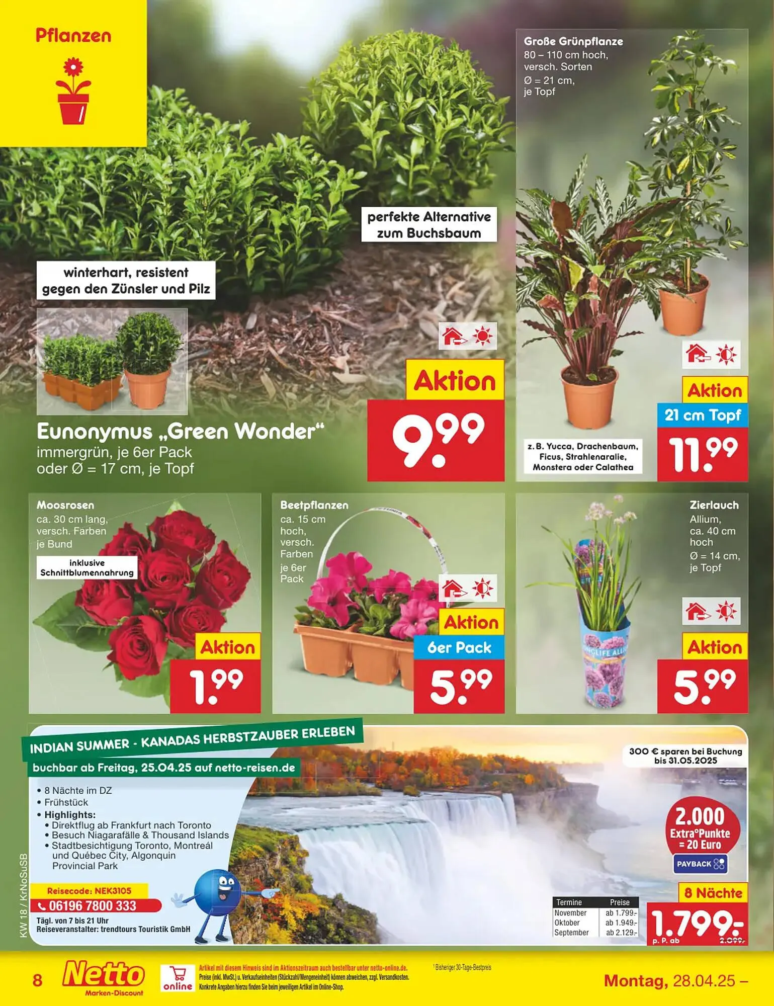 Netto Marken-Discount DE folder van 28 april tot 3 mei 2025 - Folder pagina 8