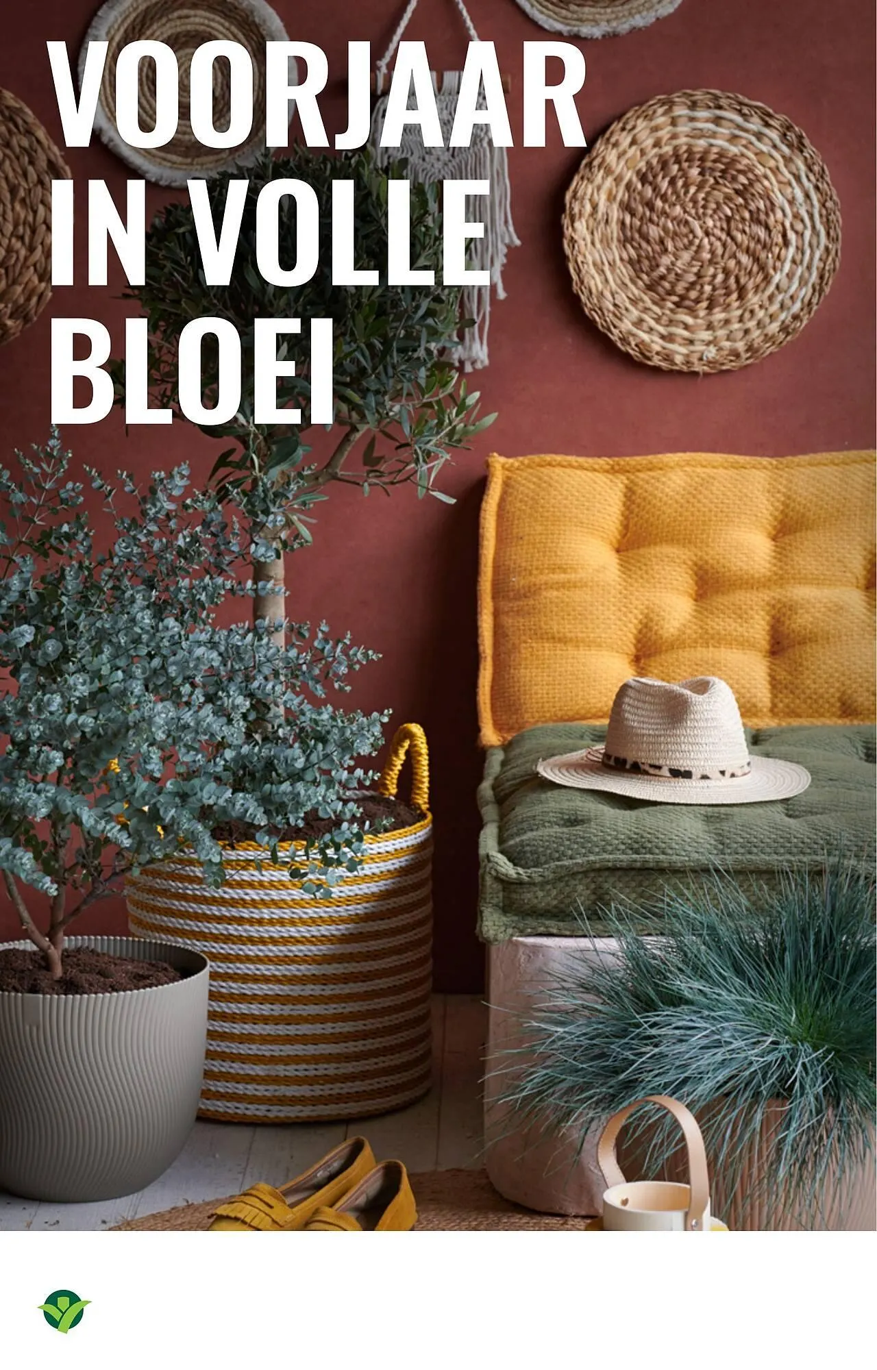 GroenRijk folder van 2 april tot 8 april 2026 - Folder pagina 5