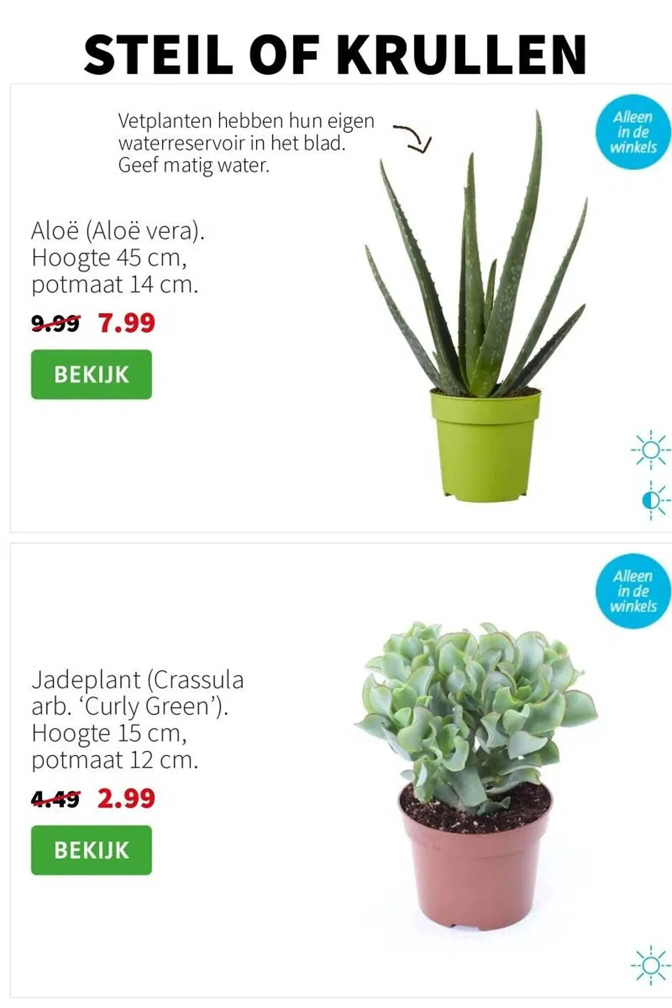 Intratuin folder van 7 juli tot 13 juli 2025 - Folder pagina 2