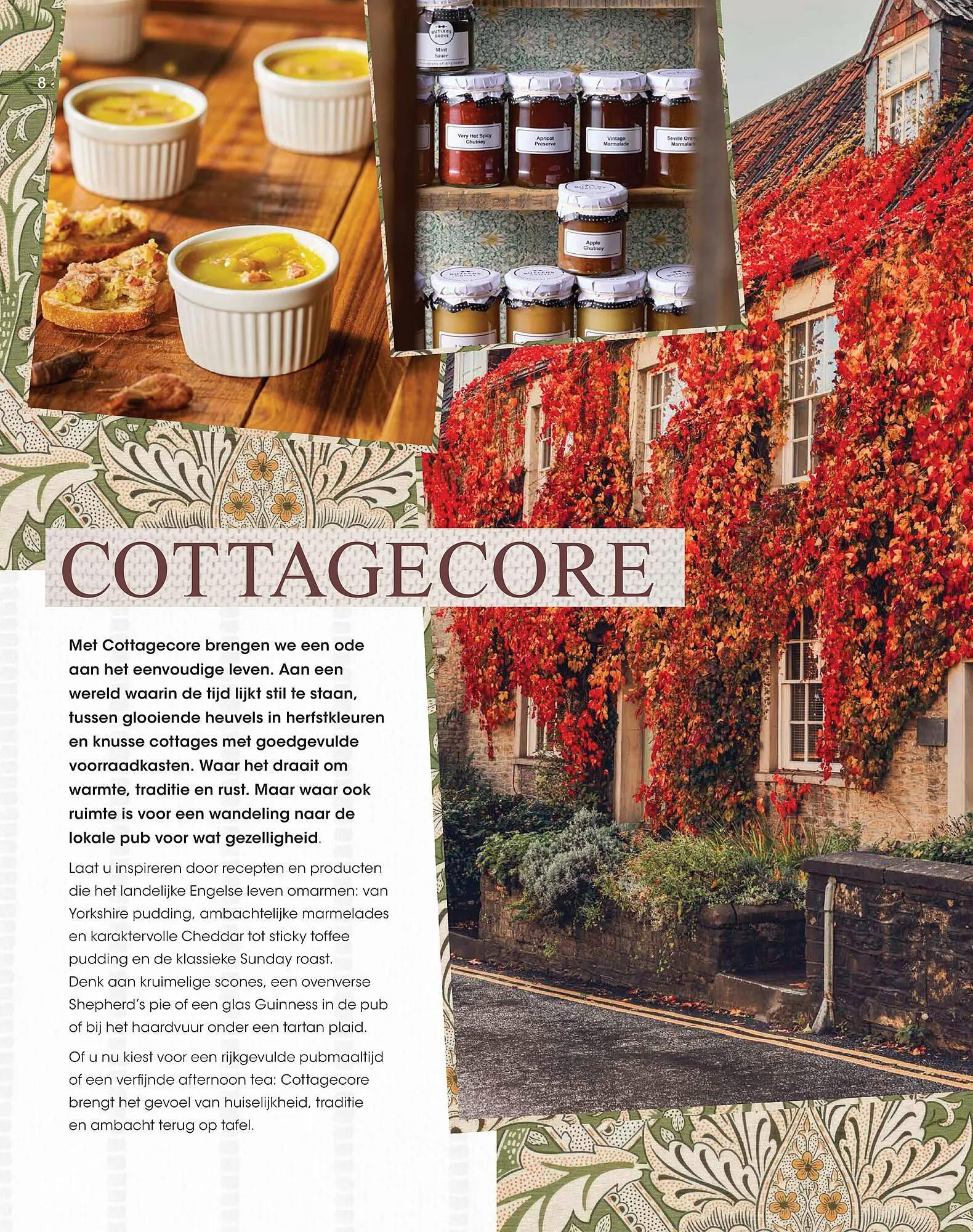 HANOS folder van 22 september tot 16 november 2025 - Folder pagina 8