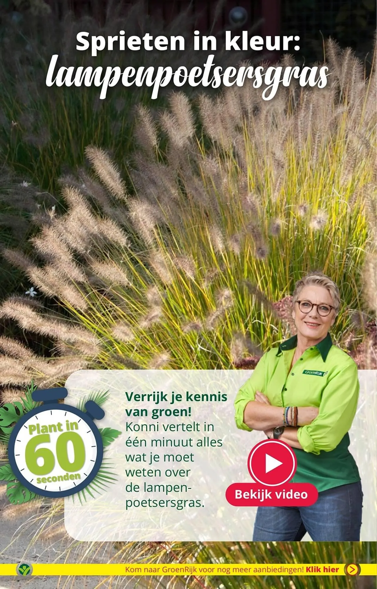 GroenRijk folder van 1 augustus tot 15 augustus 2023 - Folder pagina 6