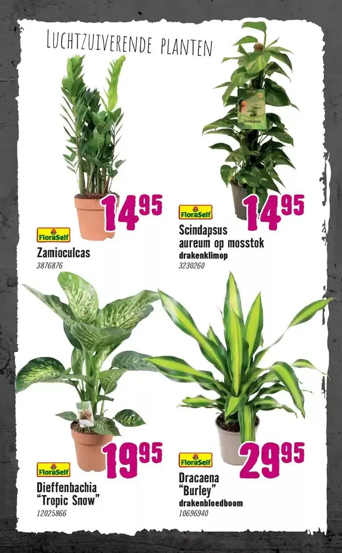 Hornbach folder van 7 januari tot 14 januari 2025 - Folder pagina 79