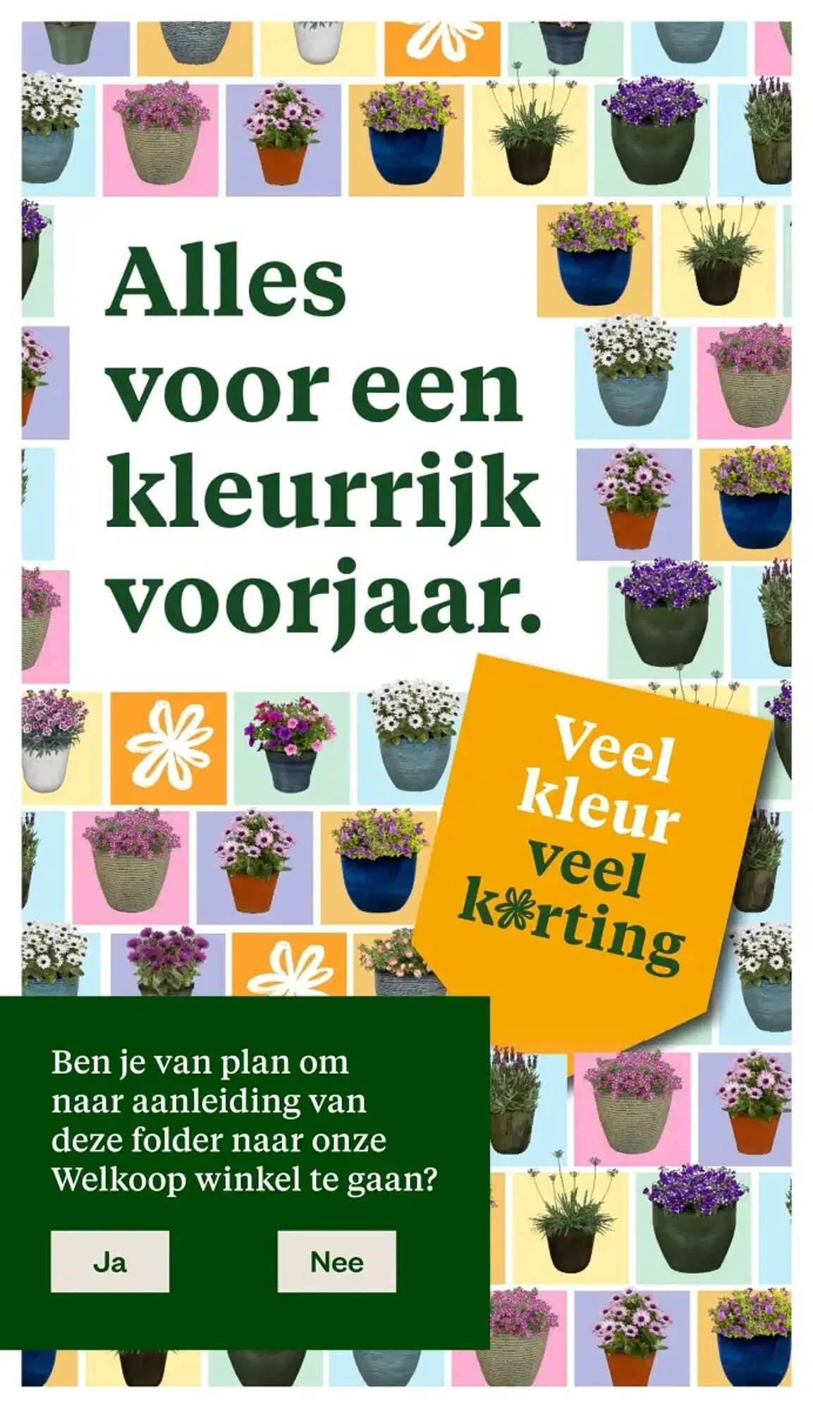 Welkoop folder van 30 maart tot 5 april 2026 - Folder pagina 38