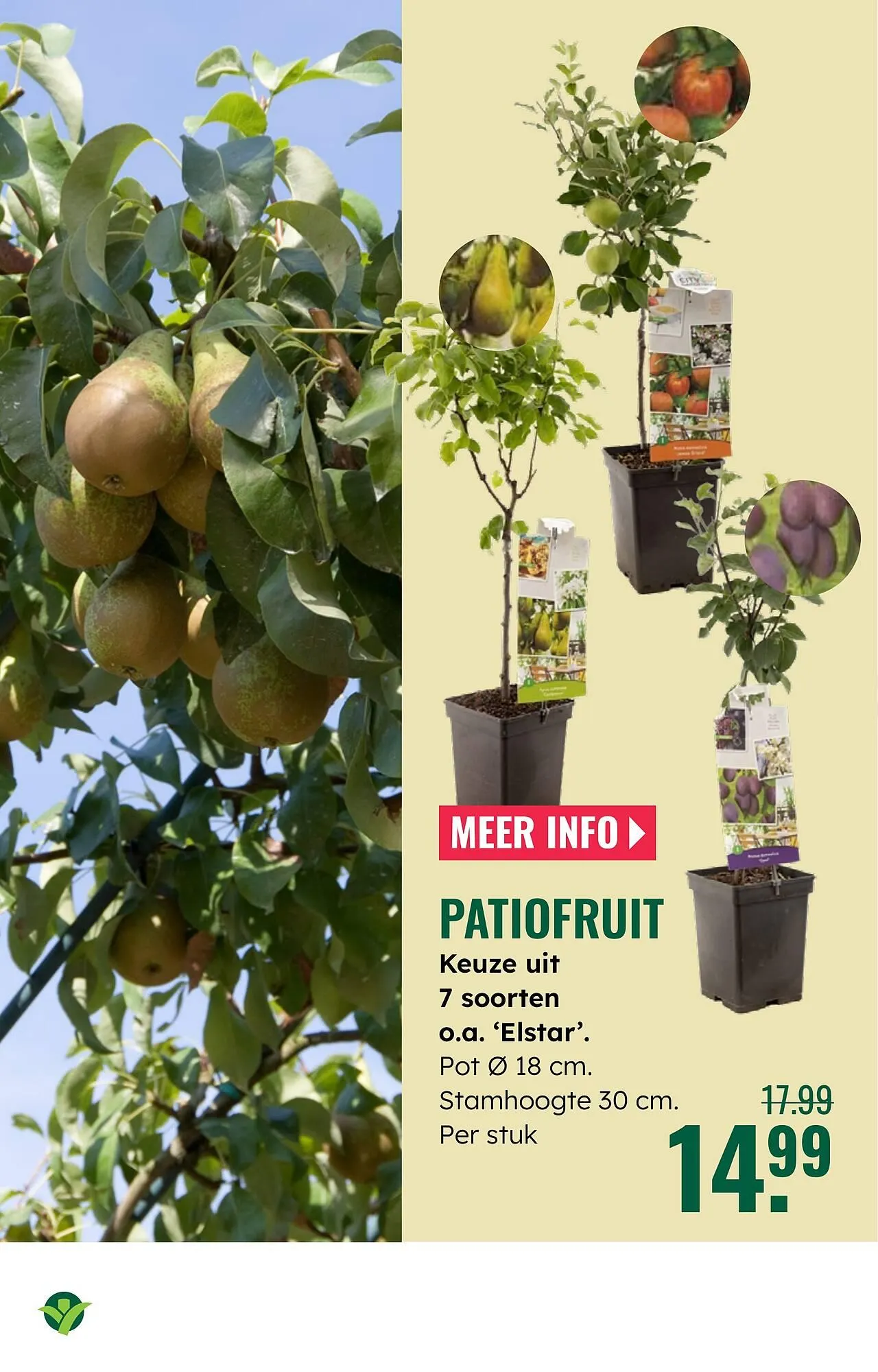 GroenRijk folder van 23 april tot 29 april 2026 - Folder pagina 20