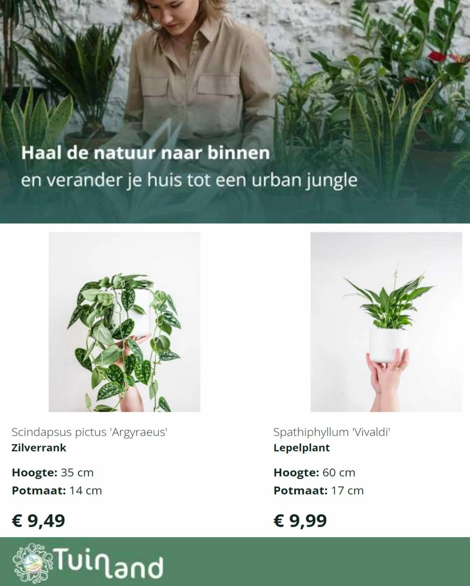 Tuinland Folder van 22 december tot 1 oktober 2023 - Folder pagina 2