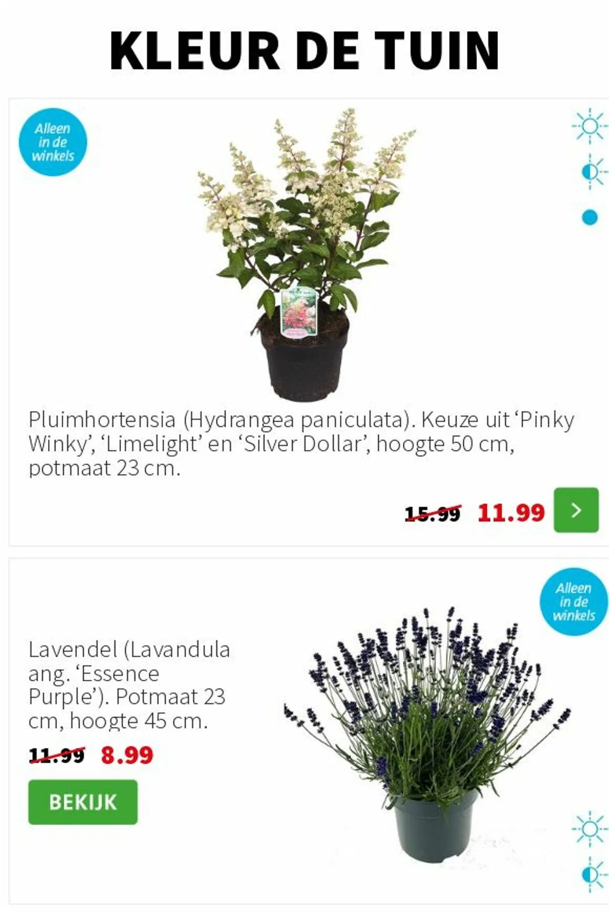 Intratuin van 16 juni tot 22 juni 2025 - Folder pagina 4