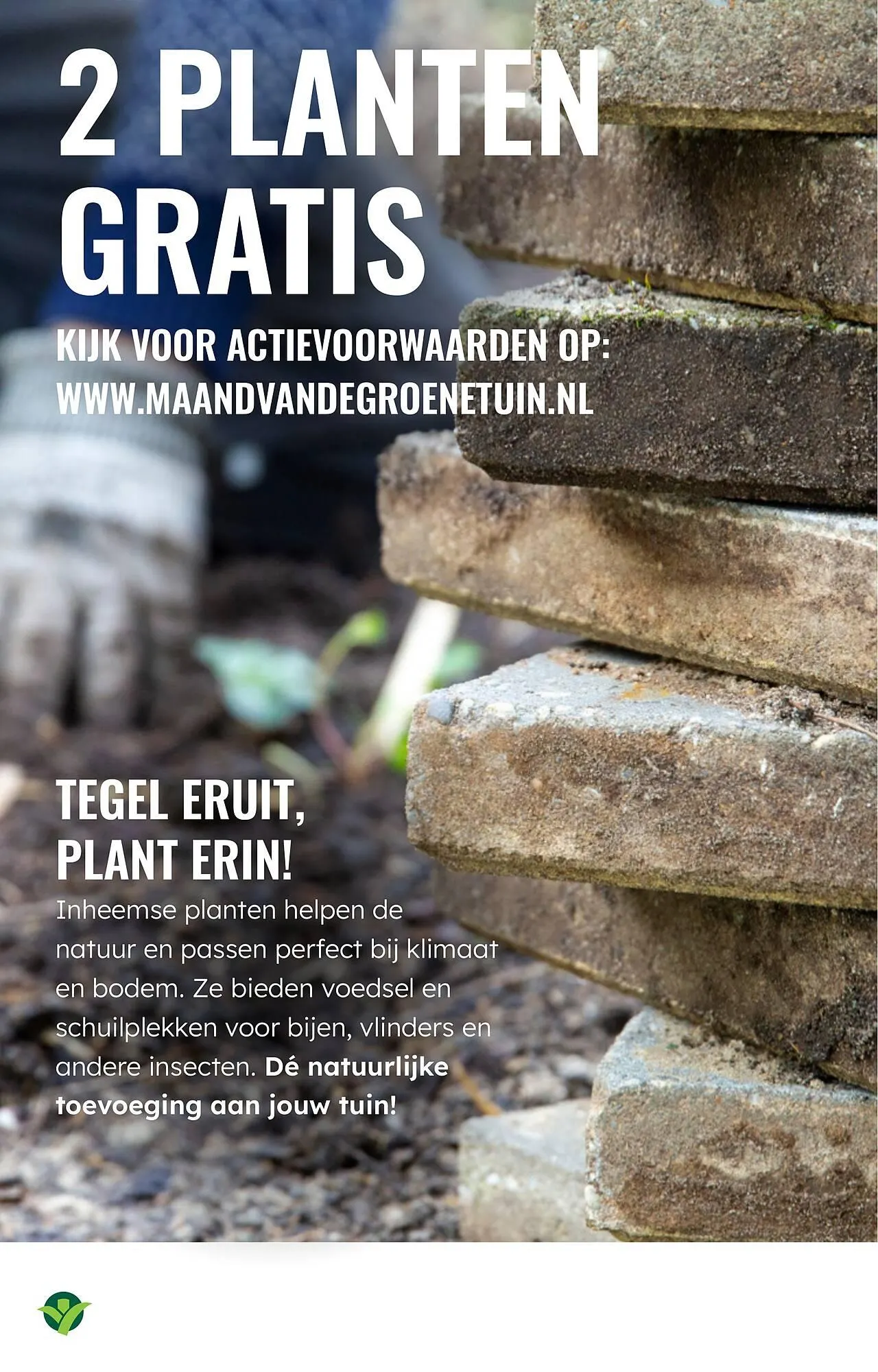 GroenRijk folder van 2 april tot 8 april 2026 - Folder pagina 16