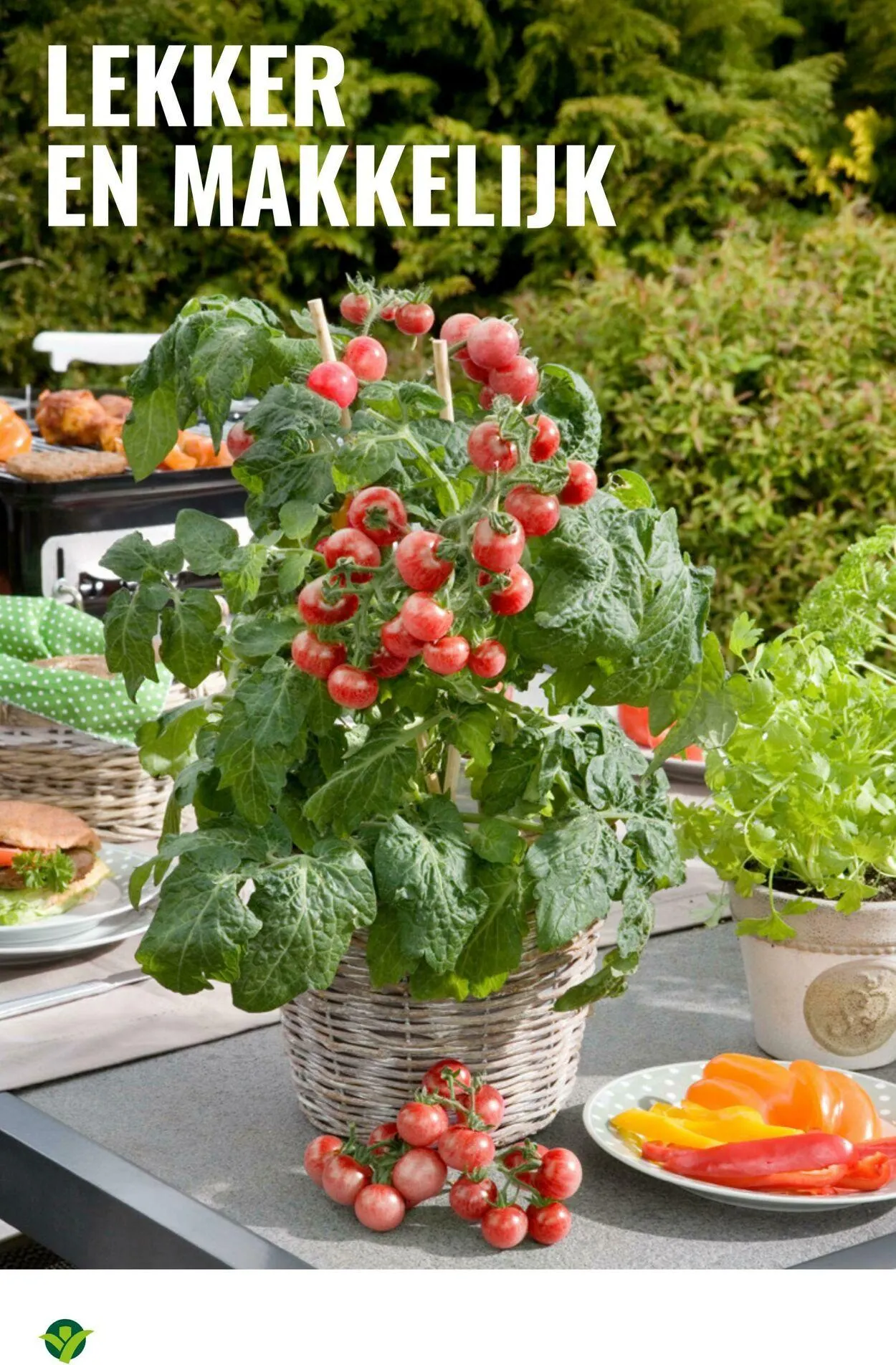 GroenRijk Actuele folder van 2 september tot 16 september 2025 - Folder pagina 14